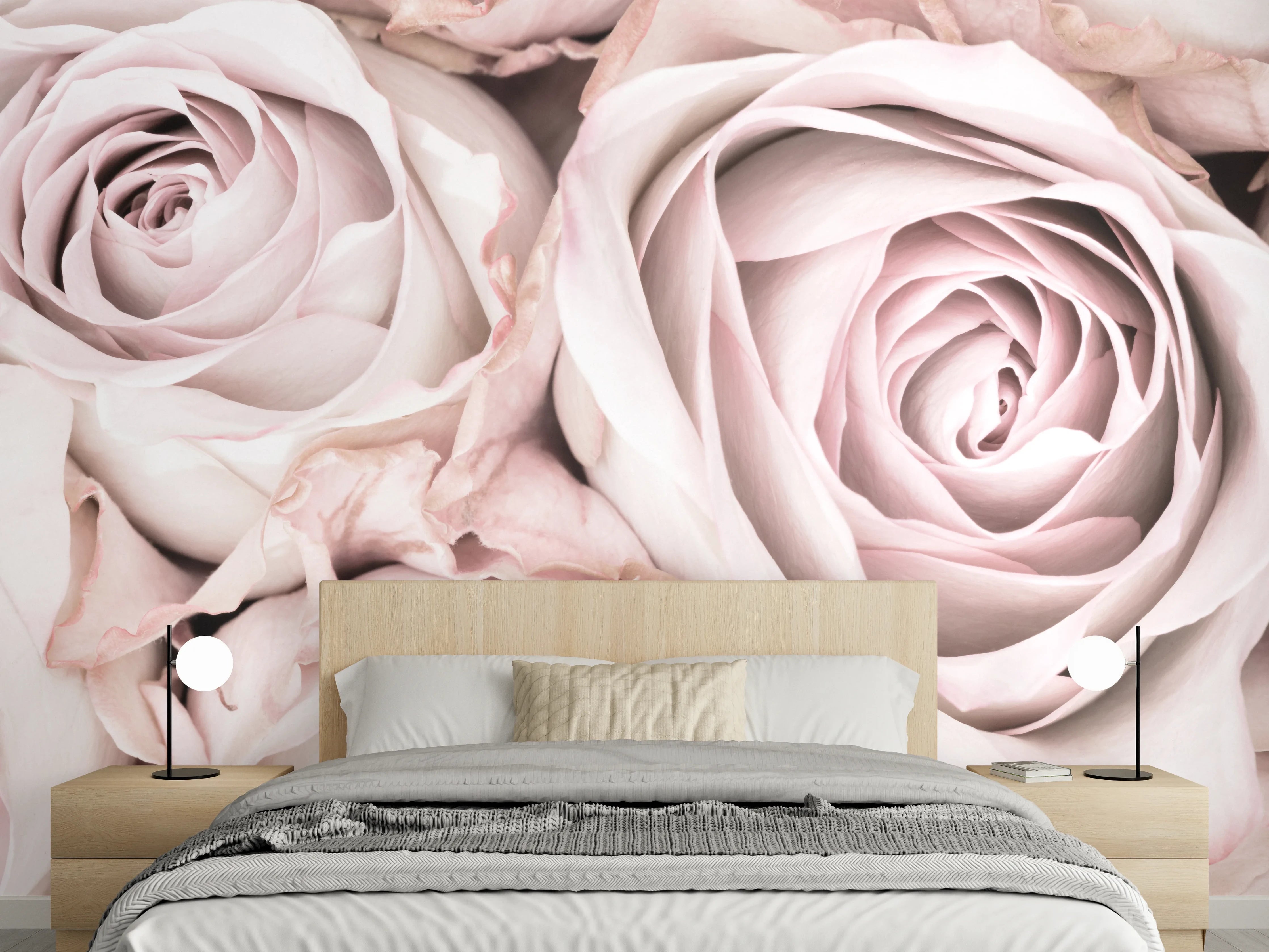 Wandverkleidung Schlafzimmer - Weiße Rosen in Nahaufnahme