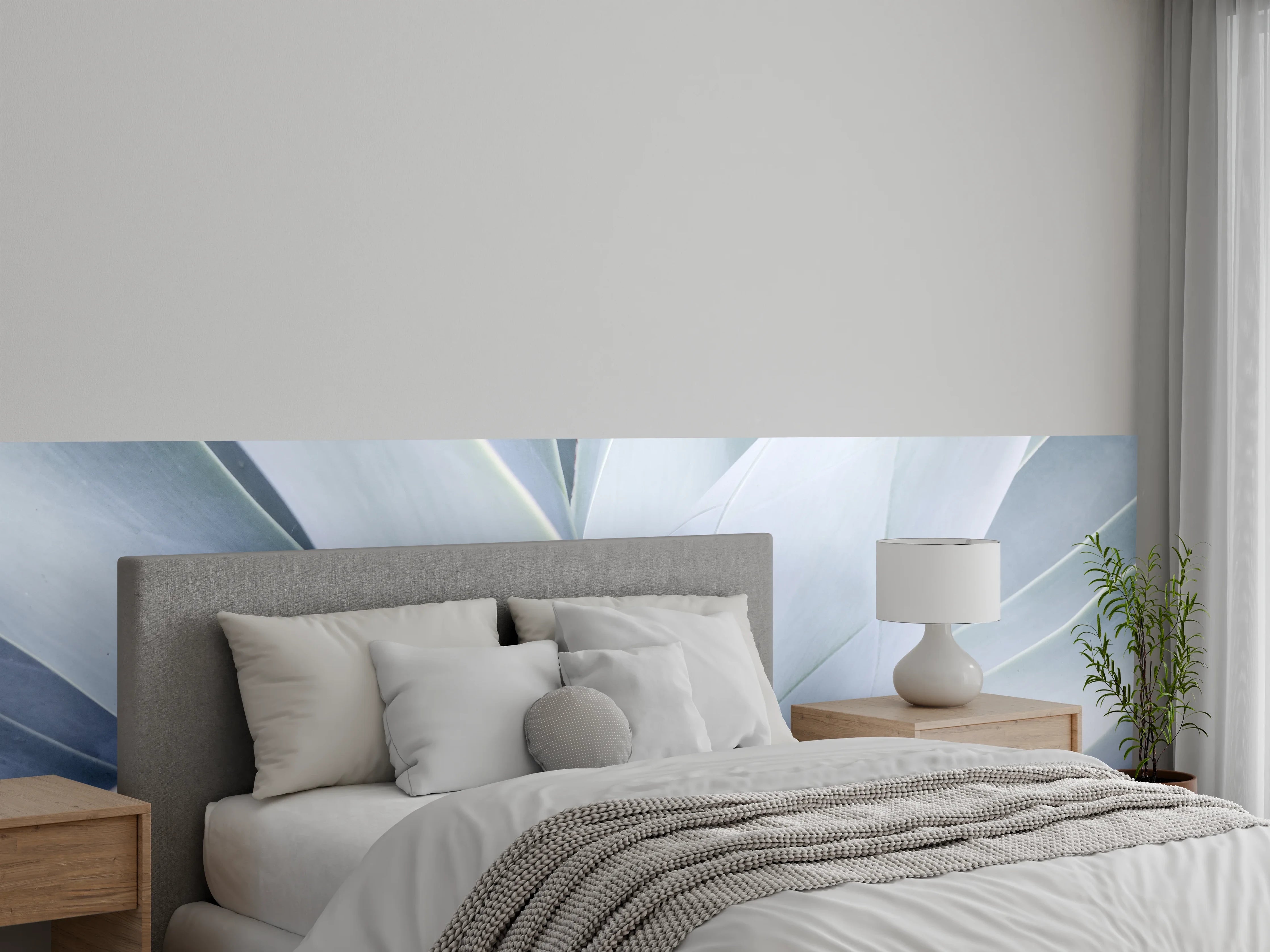Wandverkleidung Schlafzimmer - Weiße Sukkulente abstrakt Nahaufnahme