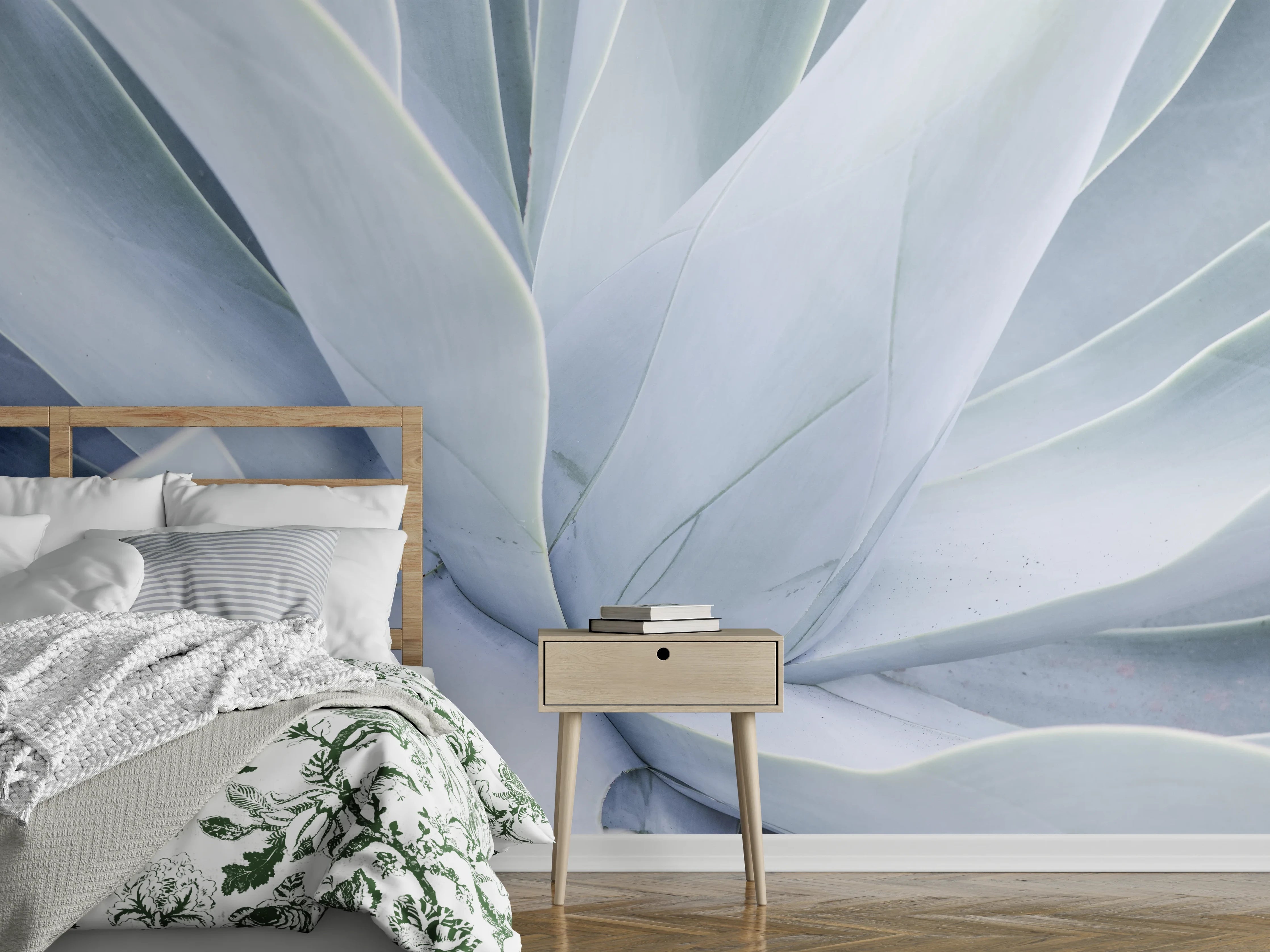 Wandverkleidung Schlafzimmer - Weiße Sukkulente abstrakt Nahaufnahme