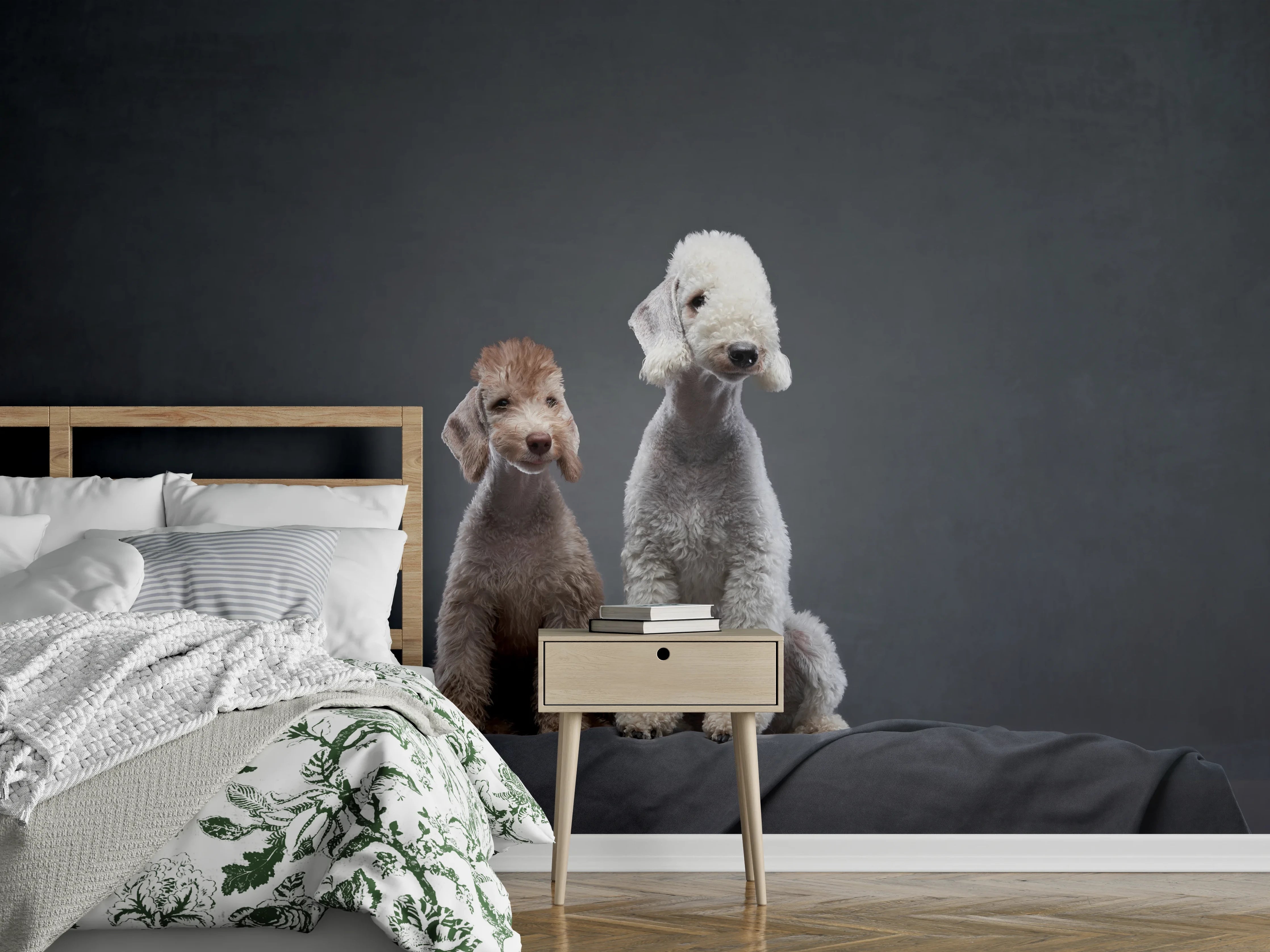 Wandverkleidung Schlafzimmer - Welpe und erwachsener Bedlington Terrier