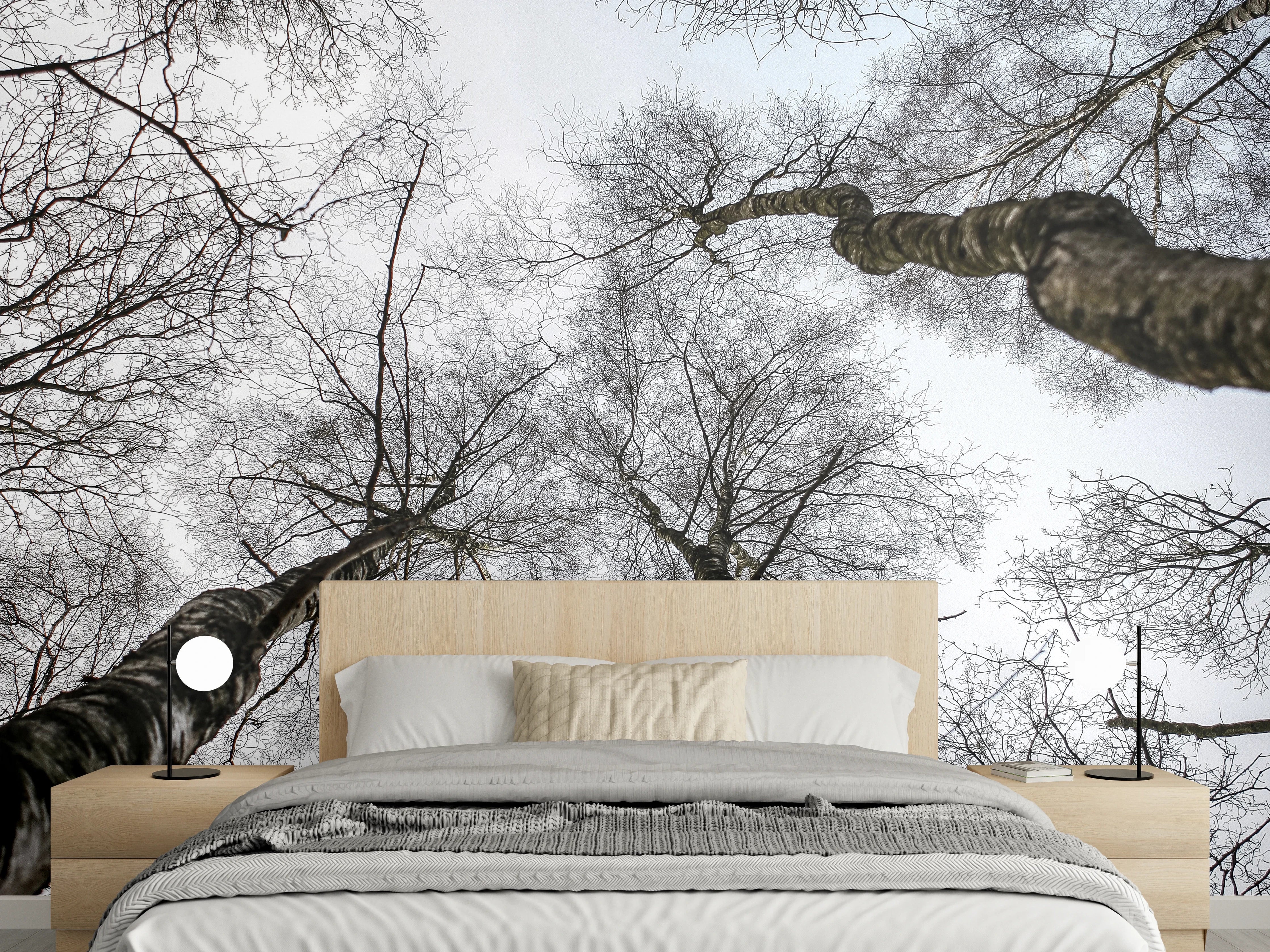 Wandverkleidung Schlafzimmer - Winterliche Baumkronen in Schwarz-Weiß
