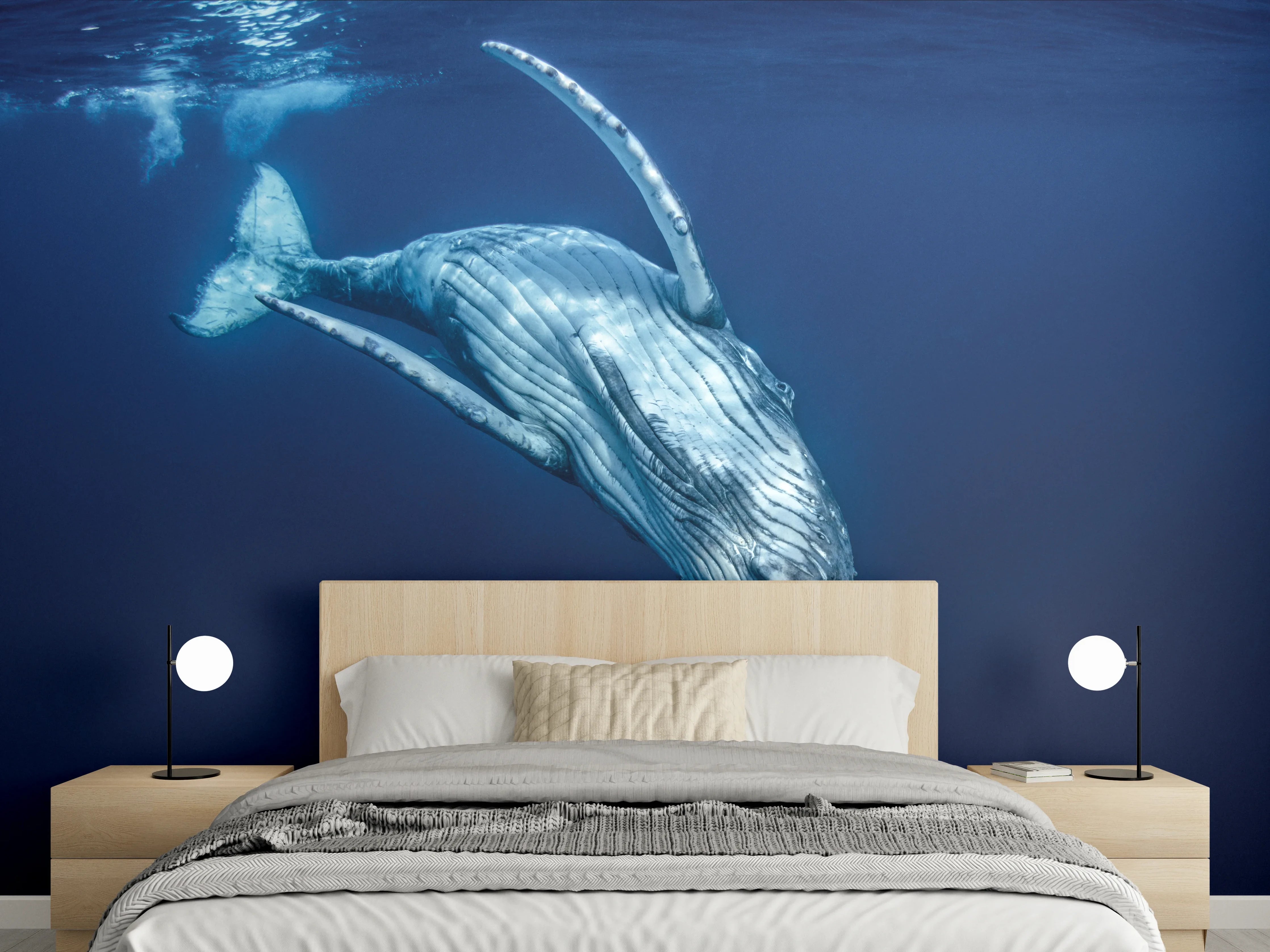 Wandverkleidung Schlafzimmer - Wunderschönes Buckelwalbaby