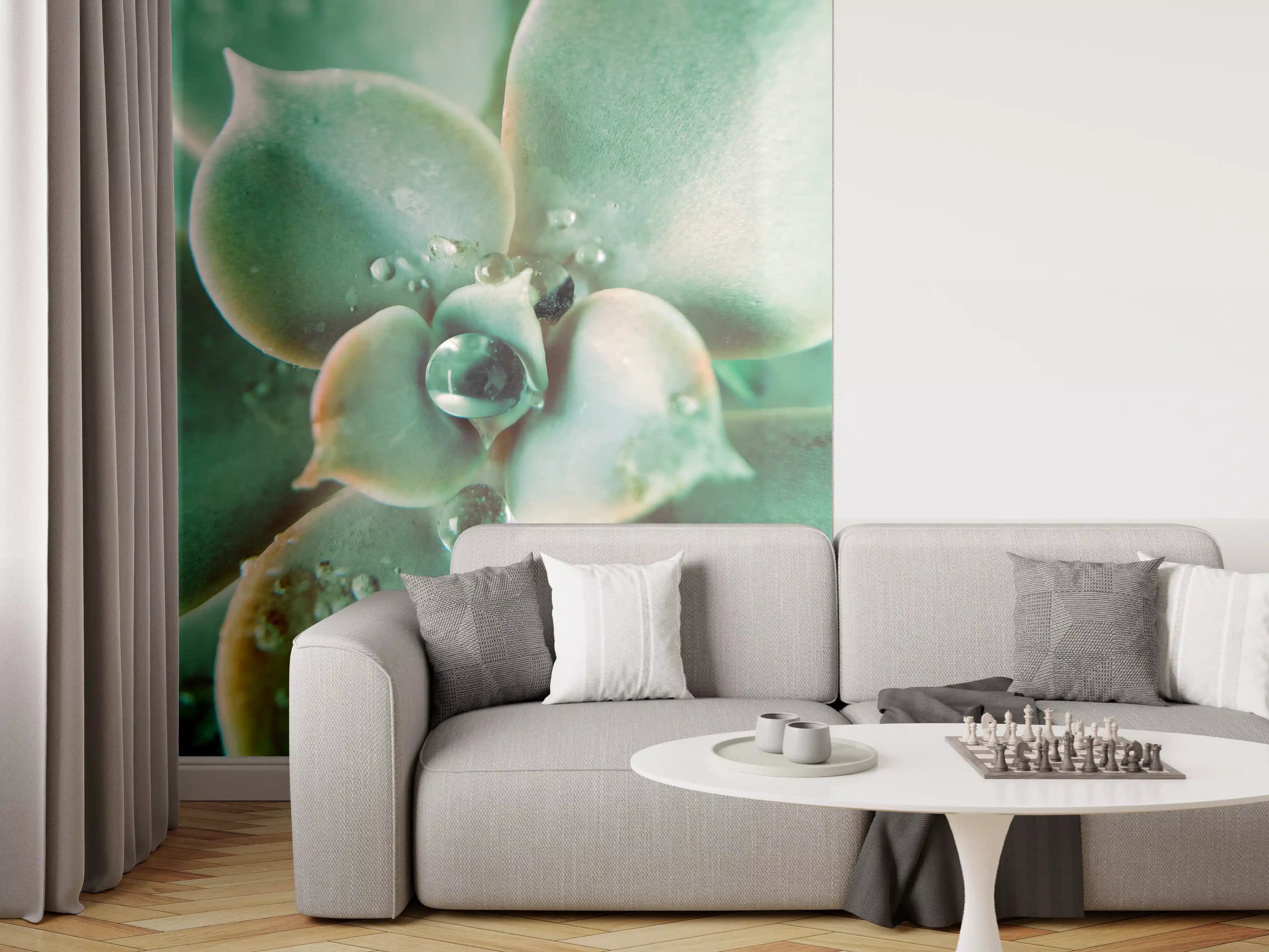 Wandverkleidung Wohnzimmer - Atemberaubende Sukkulente mit Wassertropfen