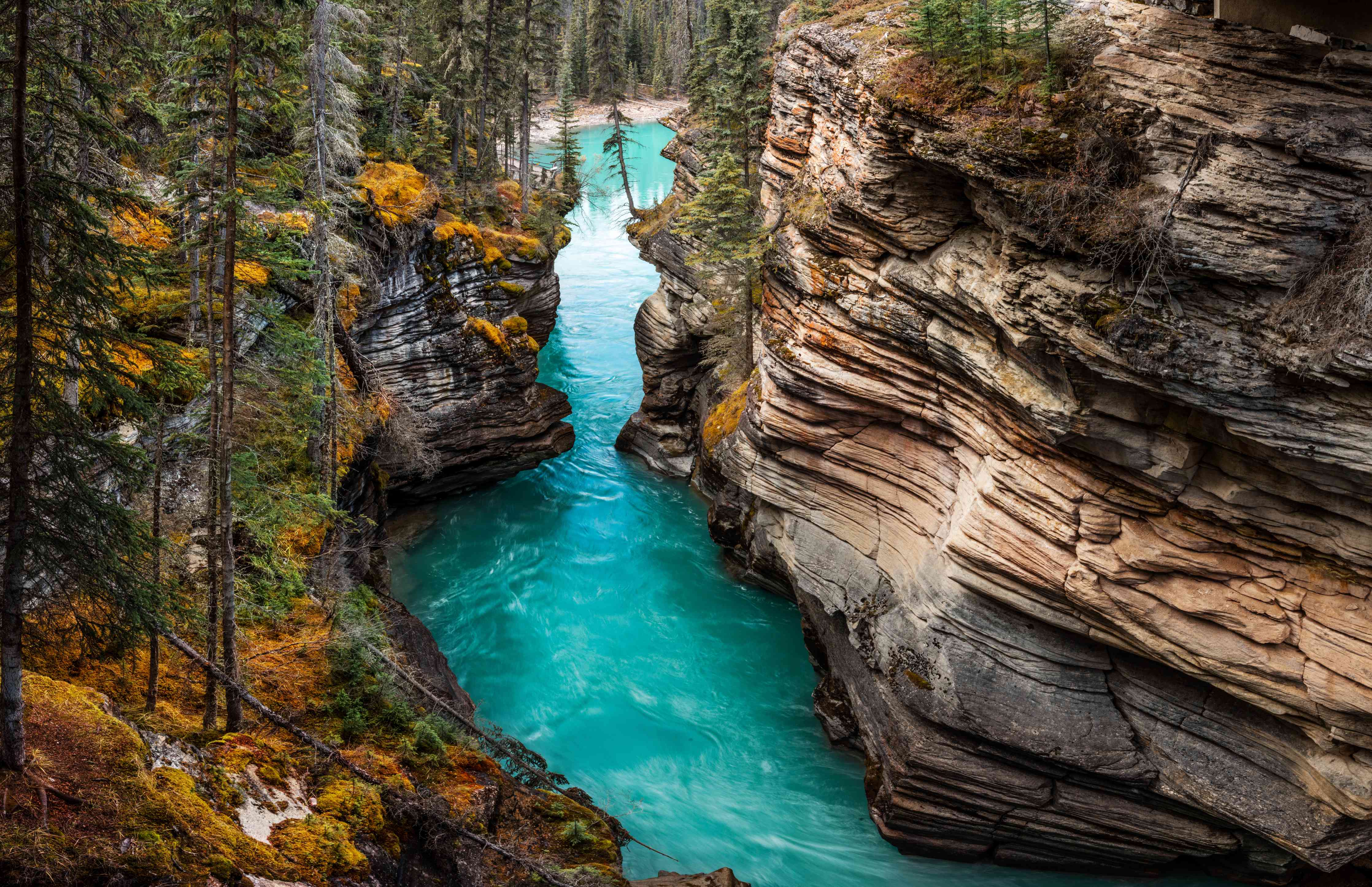 Wandverkleidung Wohnzimmer-Athabasca Wasserfälle - Kanada