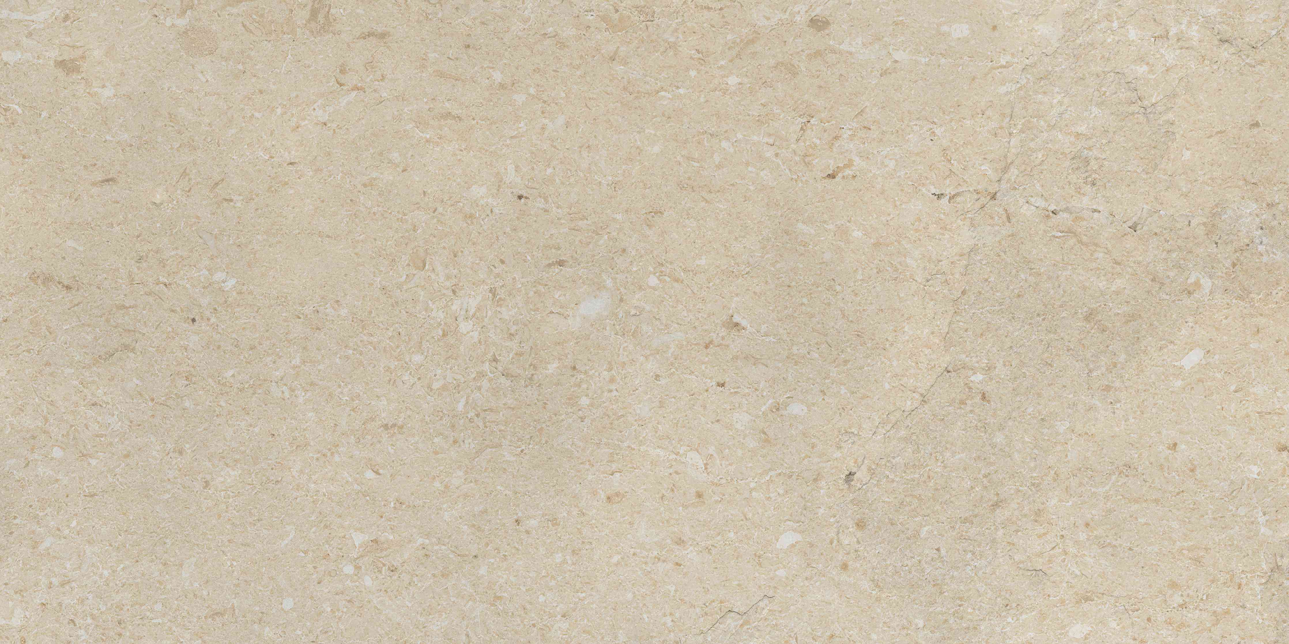 Wandverkleidung Wohnzimmer-Beige vintage Oberfläche
