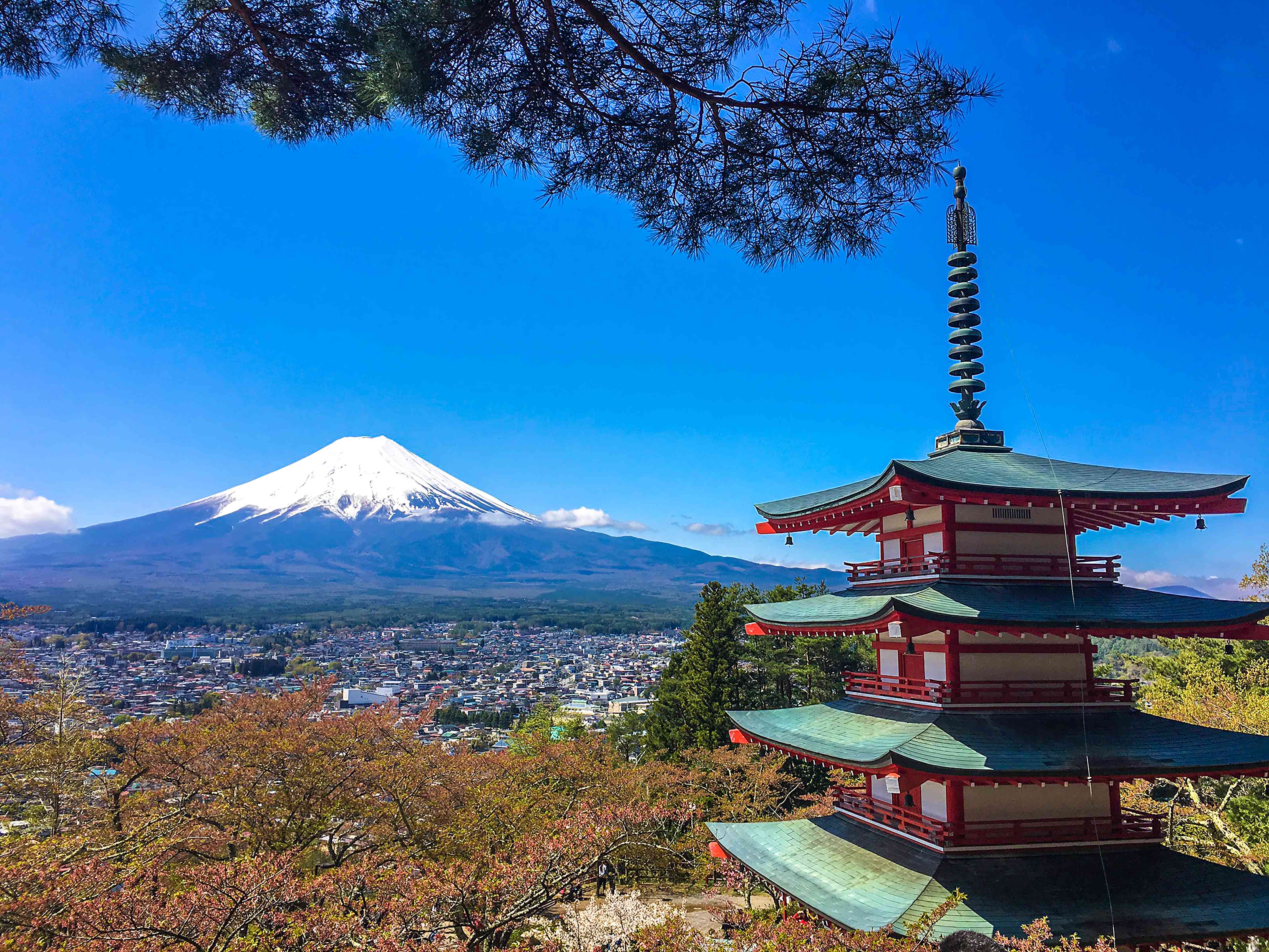 Wandverkleidung Wohnzimmer-Bergpanorama mit traditioneller Pagode