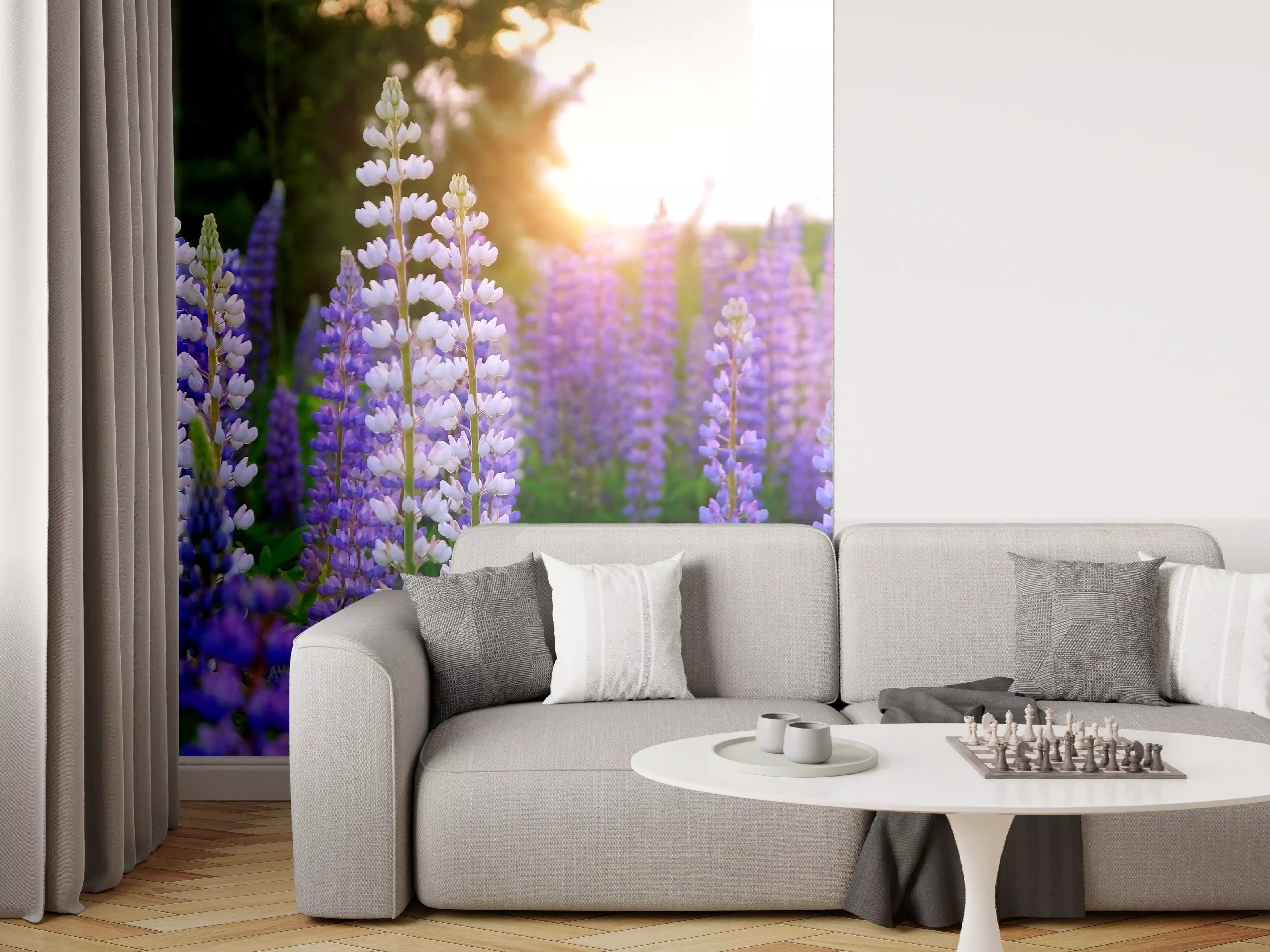 Wandverkleidung Wohnzimmer - Blaue Lupinen im Sonnenuntergang
