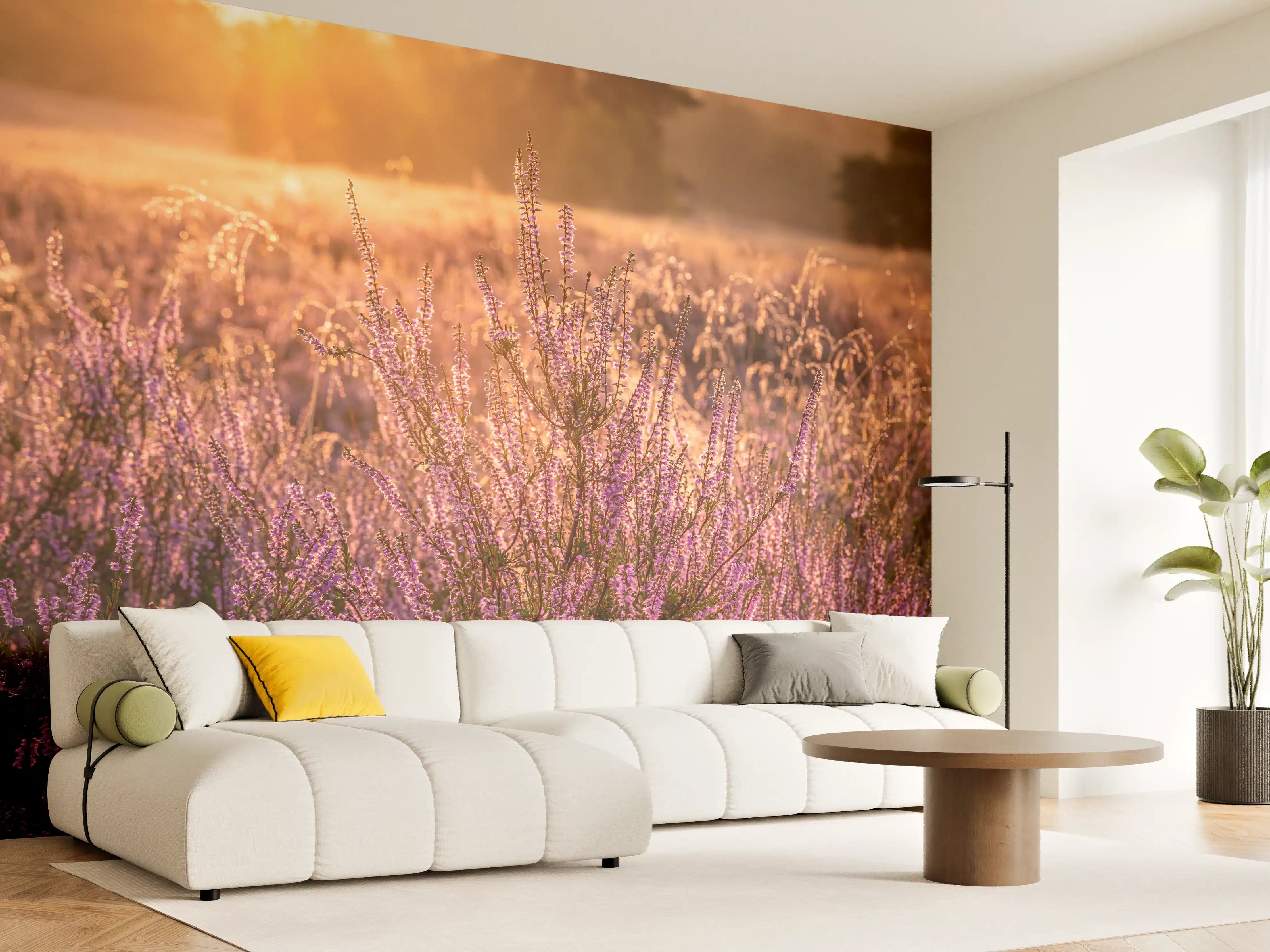 Wandverkleidung Wohnzimmer - Blühende Heide im Sonnenuntergang