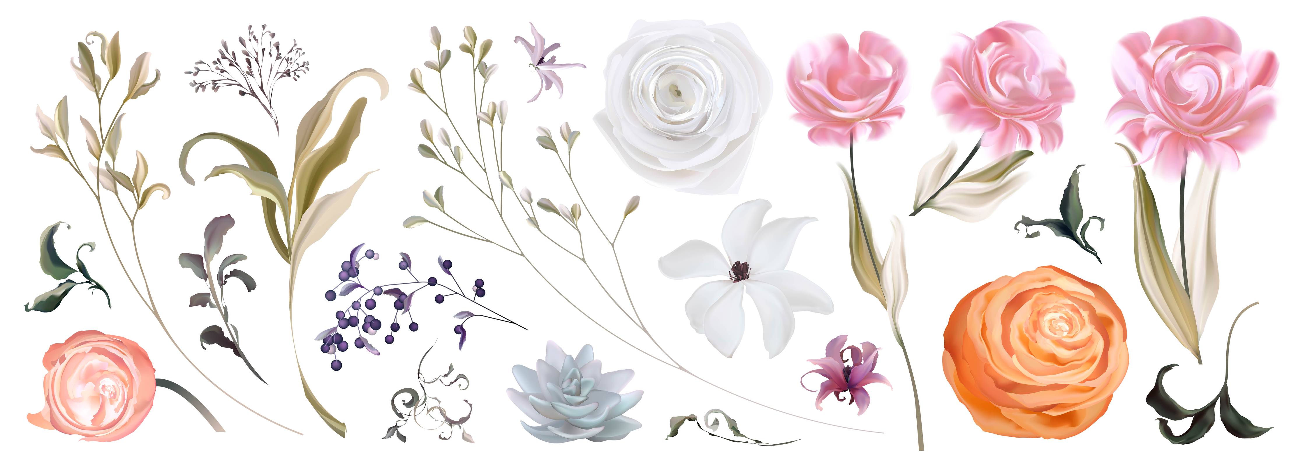 Wandverkleidung Wohnzimmer-Bunte Blumenillustrationen Set