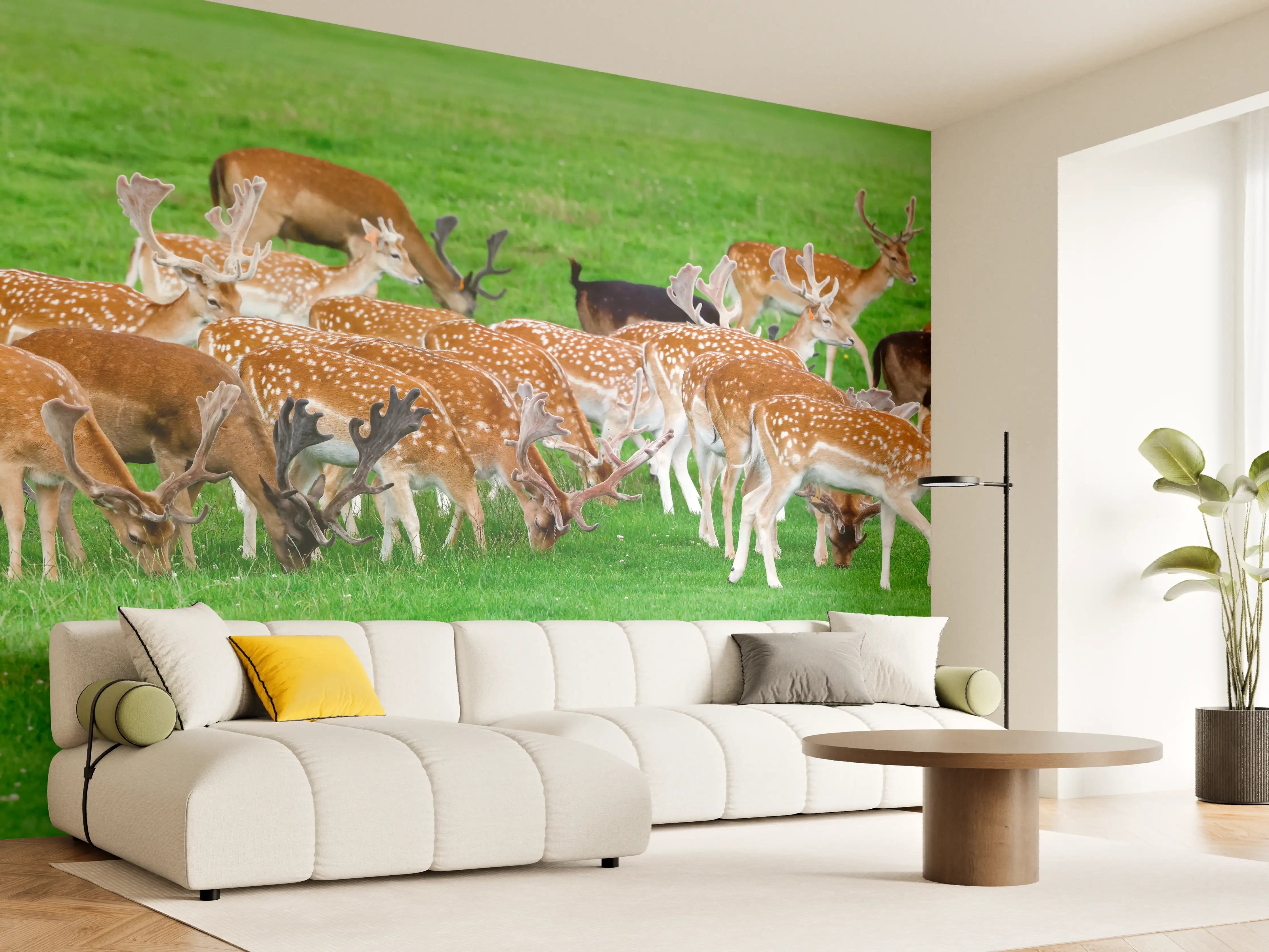 Wandverkleidung Wohnzimmer - Damwild-Herde auf grüner Wiese