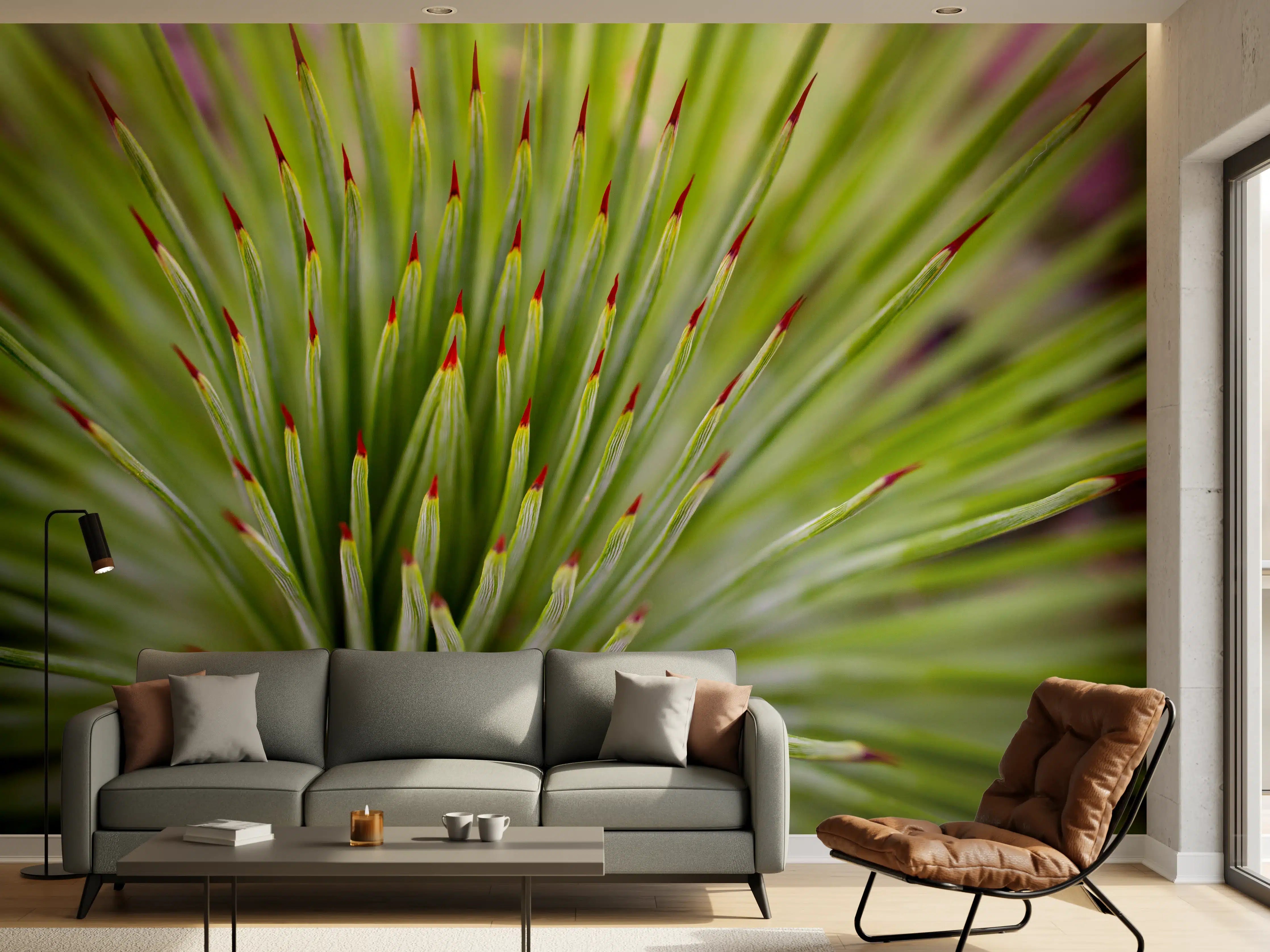 Wandverkleidung Wohnzimmer - Detailreiche Nahaufnahme eines grünen, spitzen Sukkulenten