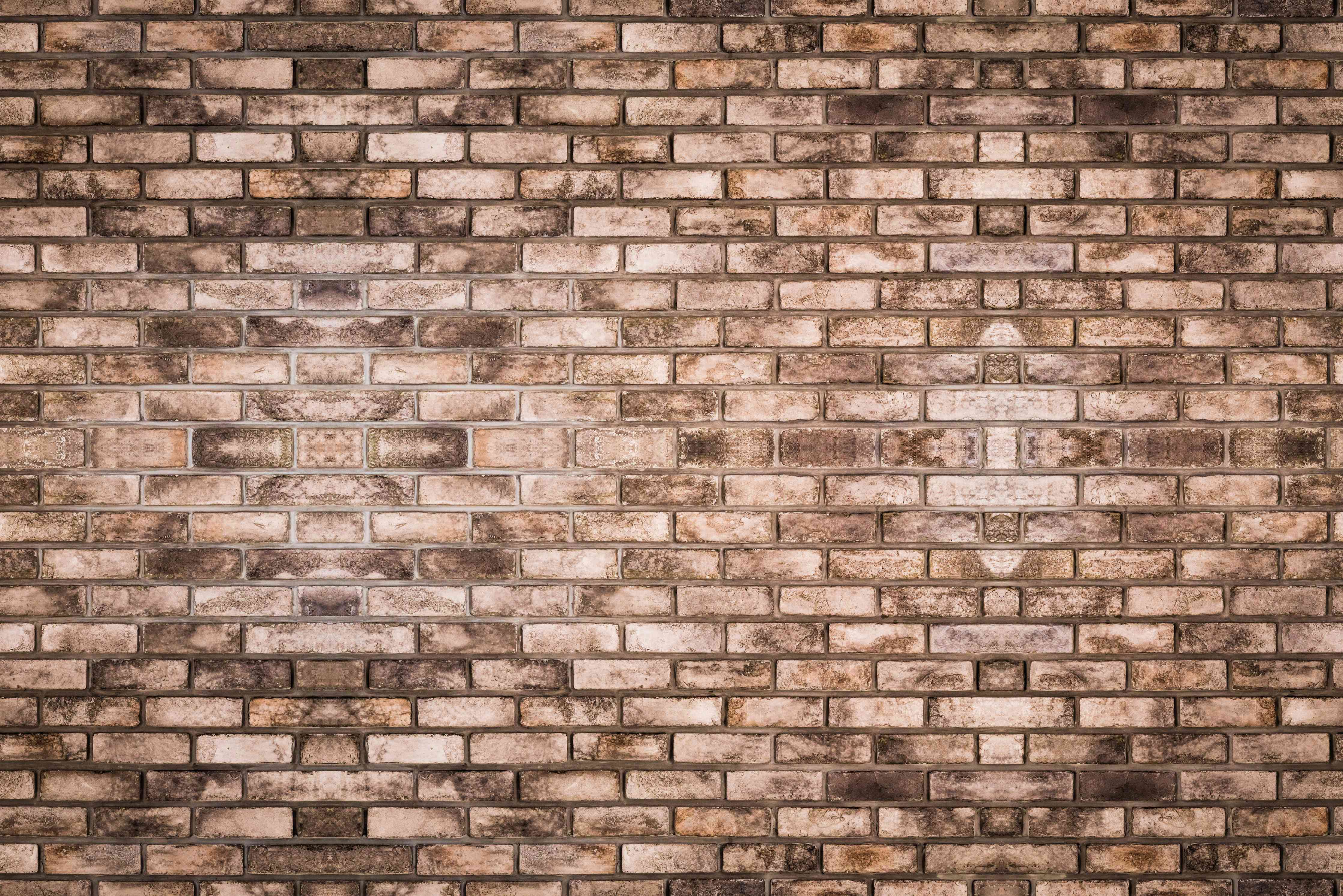 Wandverkleidung Wohnzimmer-Dunkelbraune Steinmauer