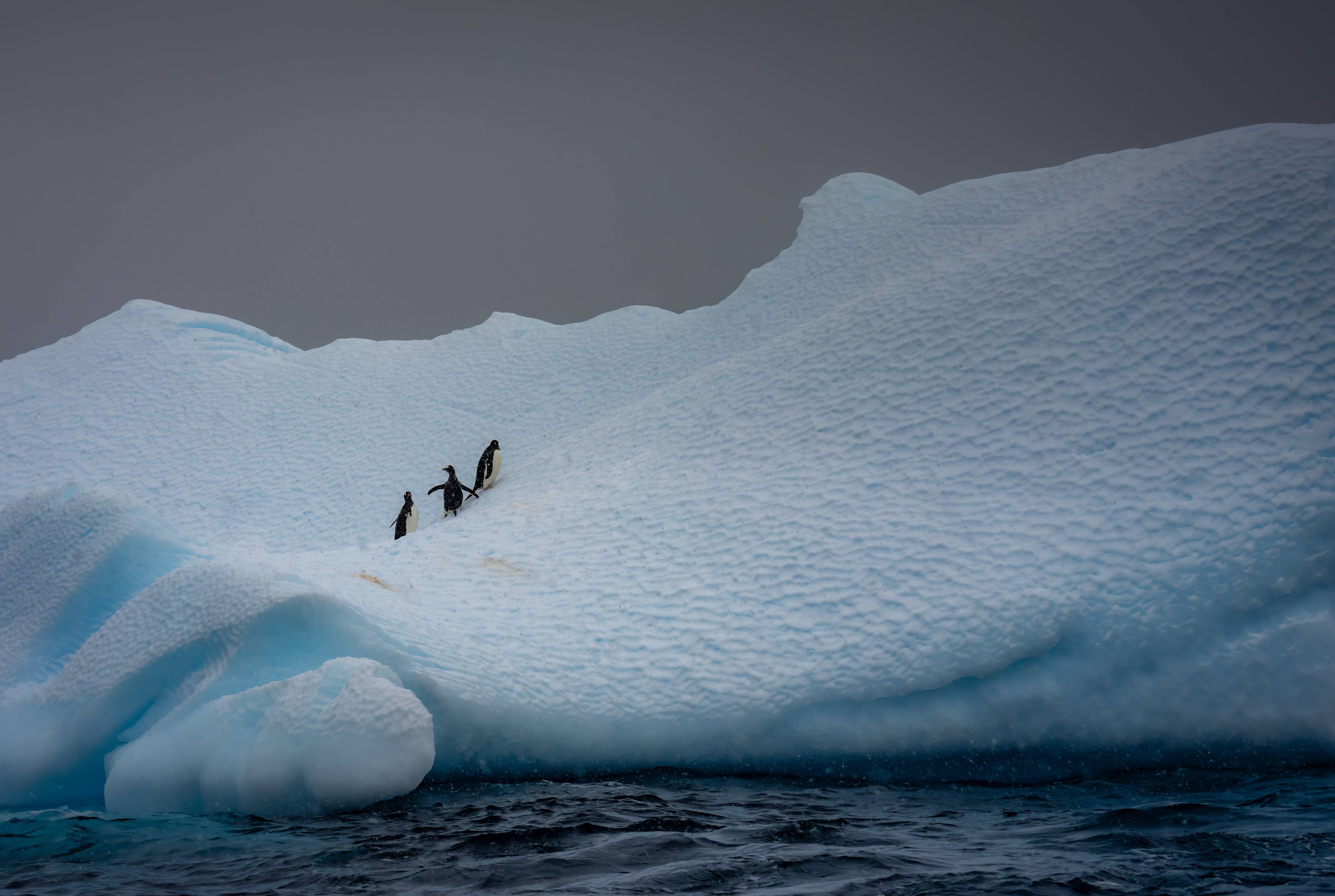Wandverkleidung Wohnzimmer-Eisbergszene in arktischer Umgebung
