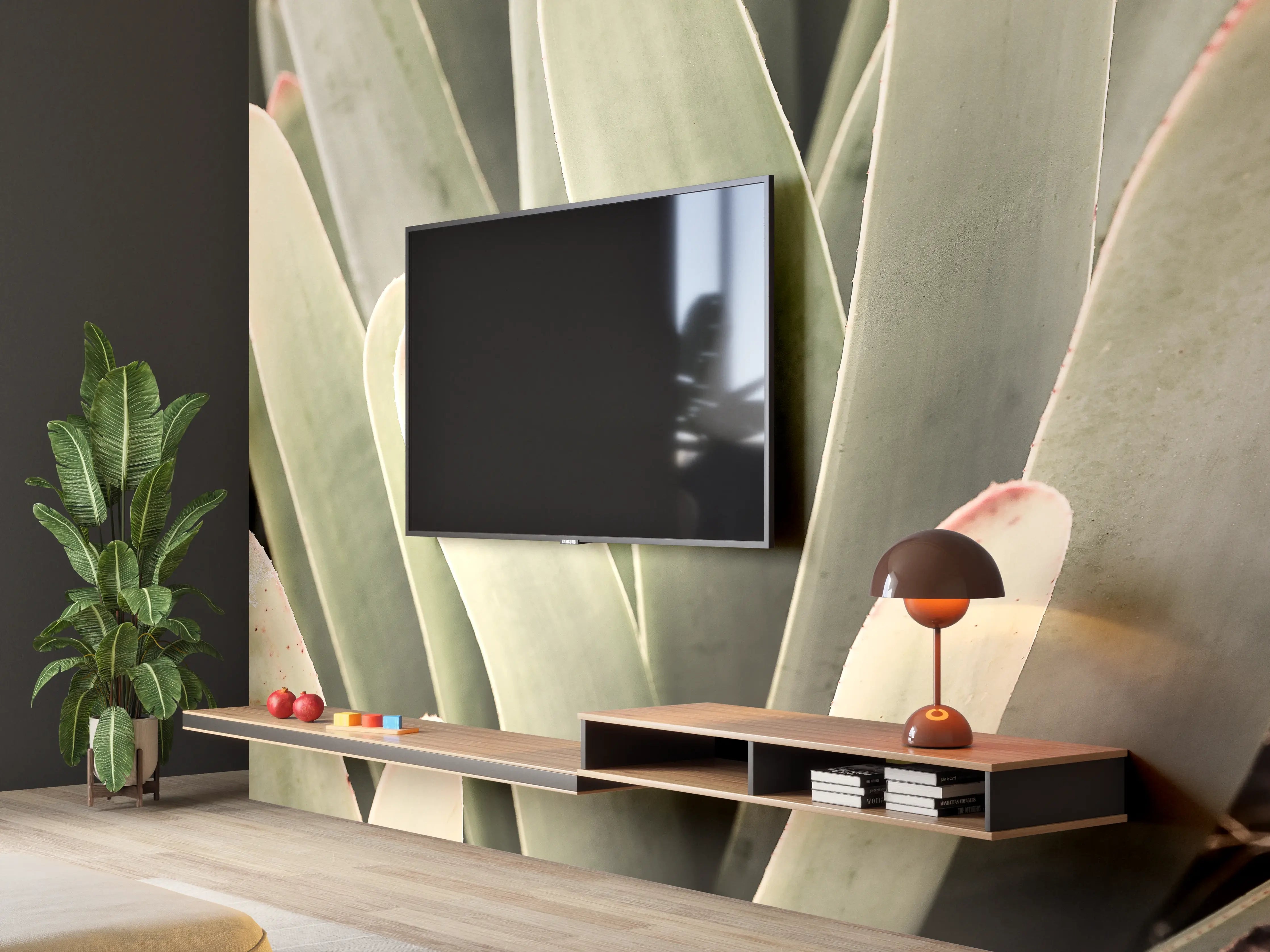 Wandverkleidung Wohnzimmer - Elegant Egrößere Sukkulente im Close-Up