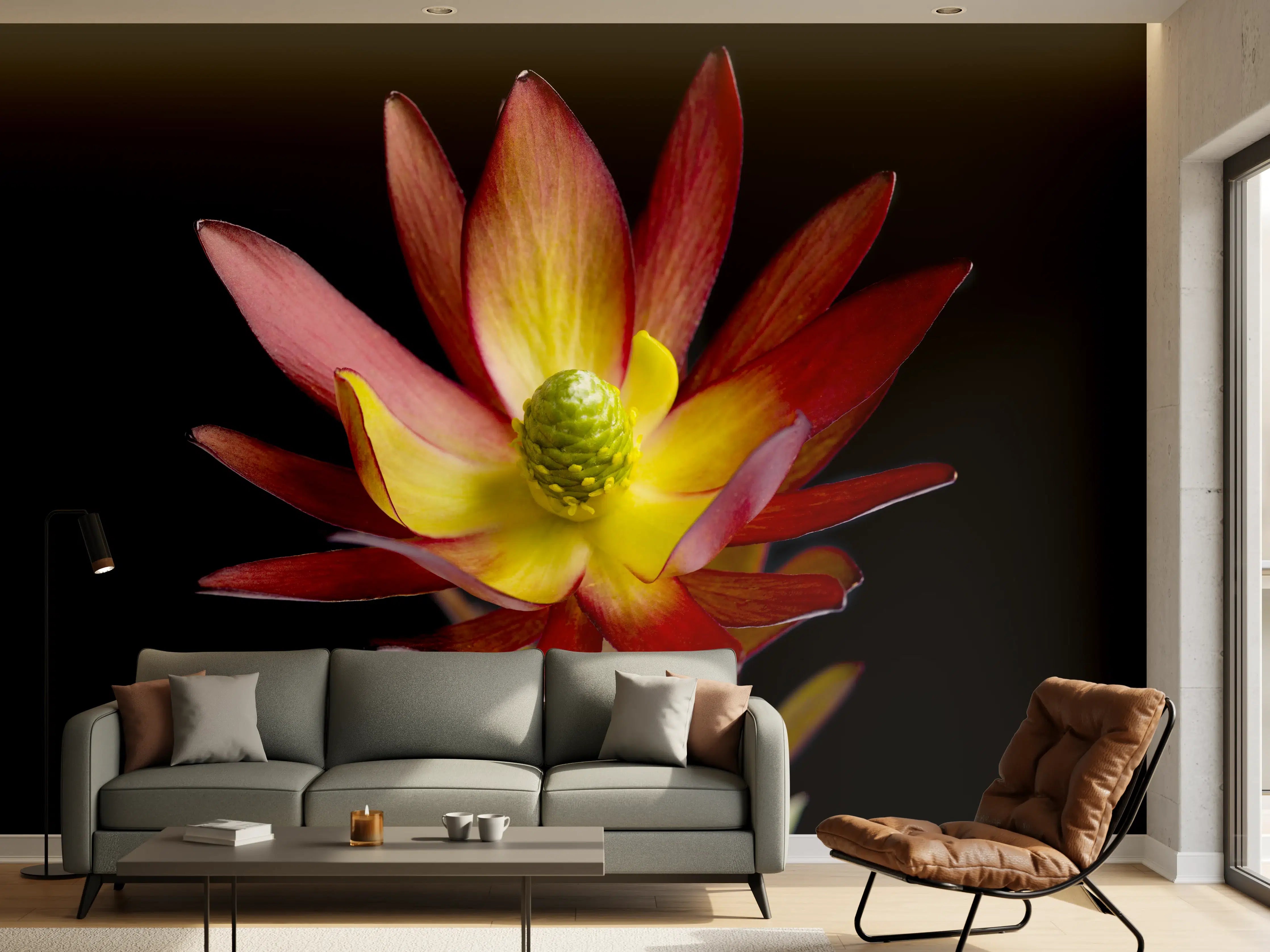 Wandverkleidung Wohnzimmer - Farbenfrohe Blüte auf Schwarz