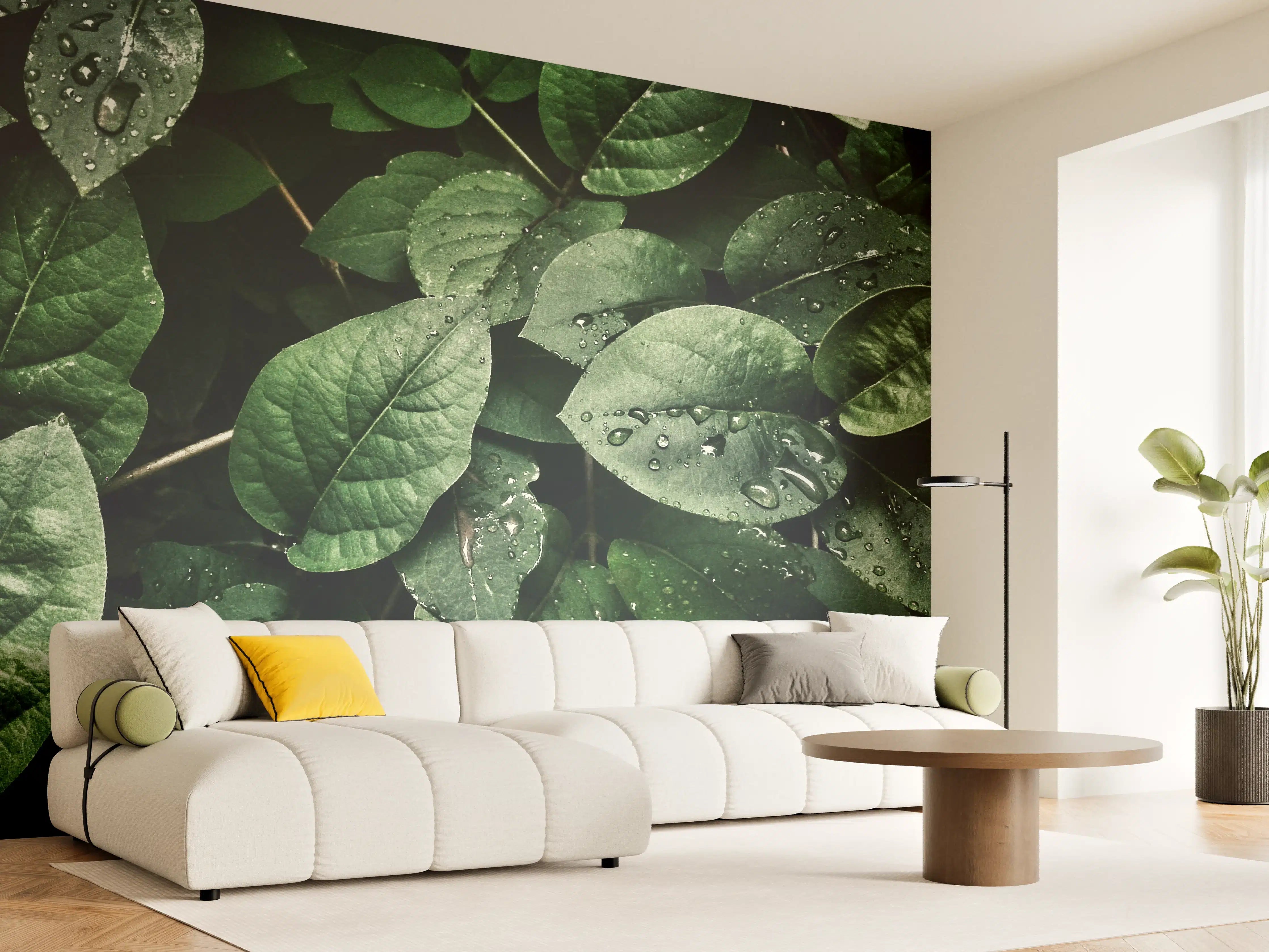 Wandverkleidung Wohnzimmer - Frische Grünblätter mit Wassertropfen
