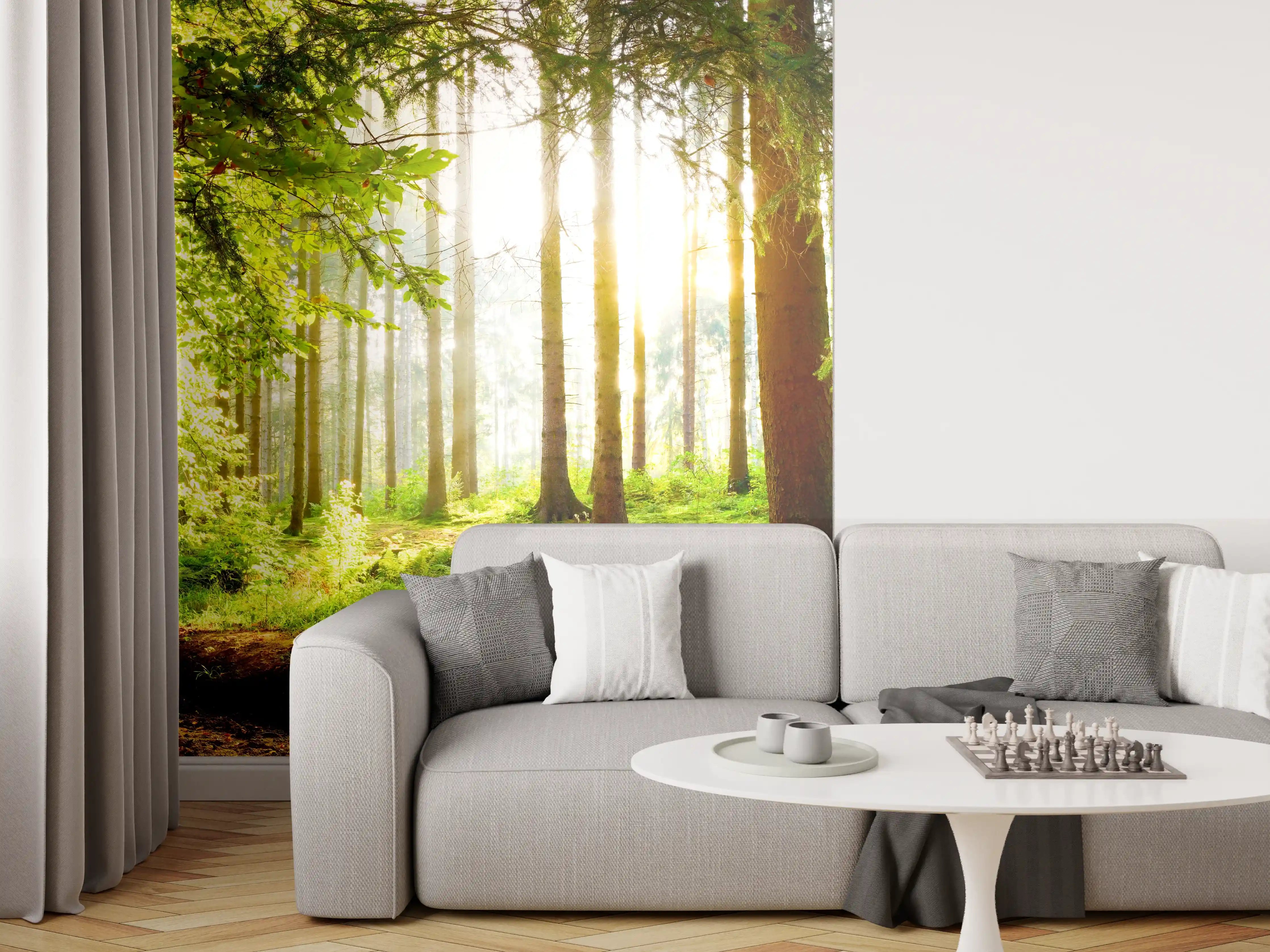 Wandverkleidung Wohnzimmer - Frühlingswald mit Sonnenschein