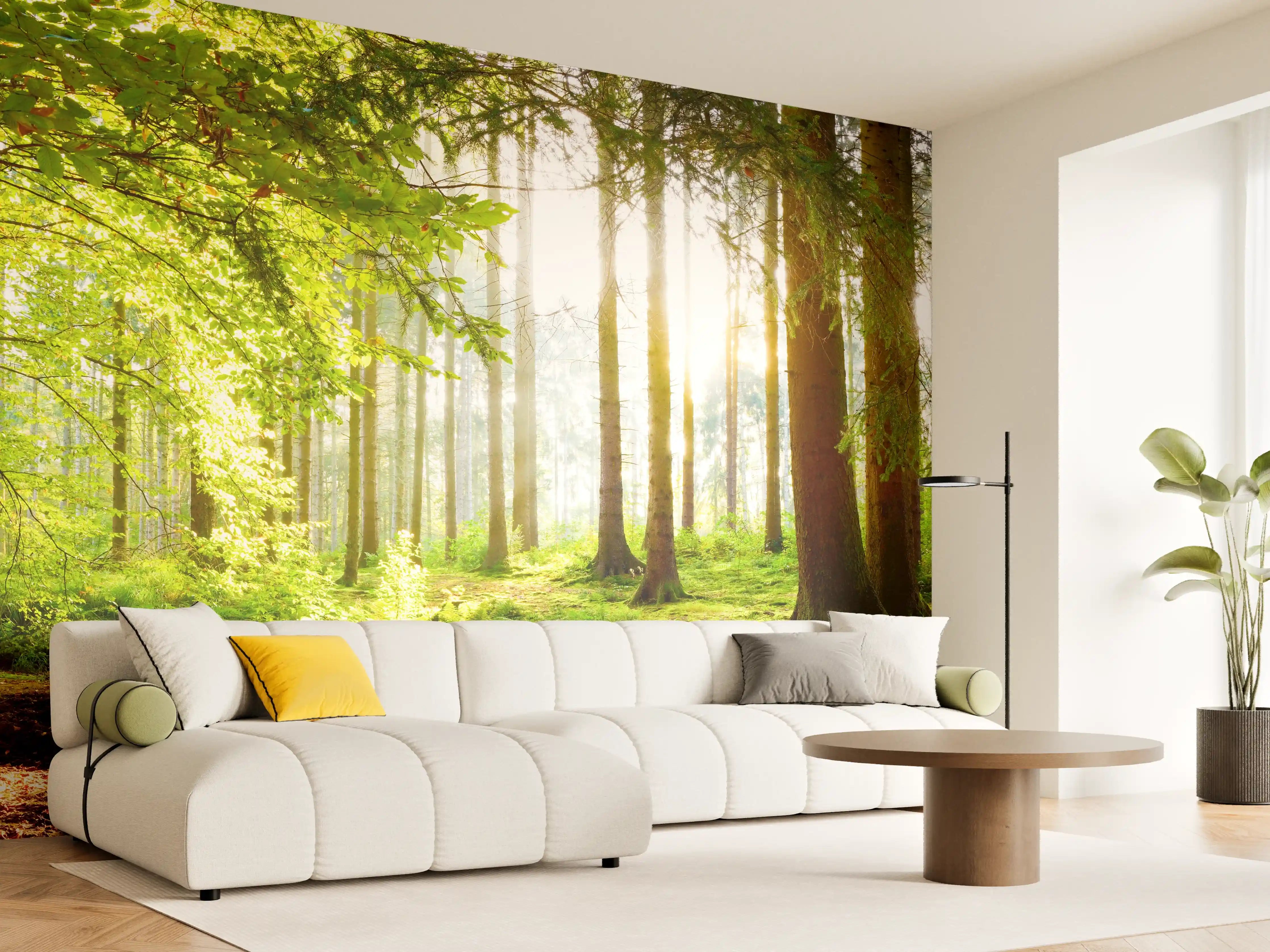Wandverkleidung Wohnzimmer - Frühlingswald mit Sonnenschein