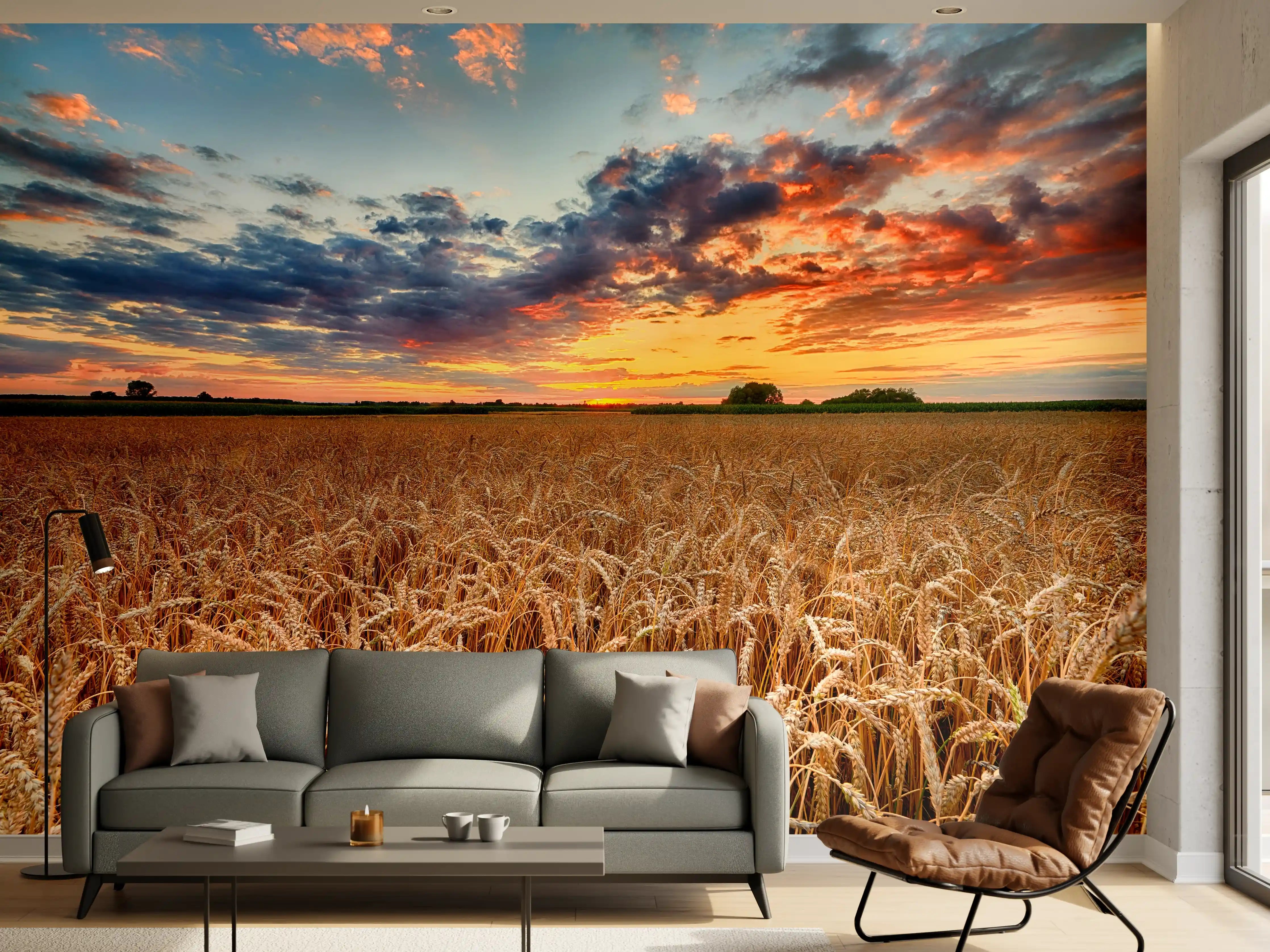 Wandverkleidung Wohnzimmer - Goldener Weizen bei Sonnenuntergang
