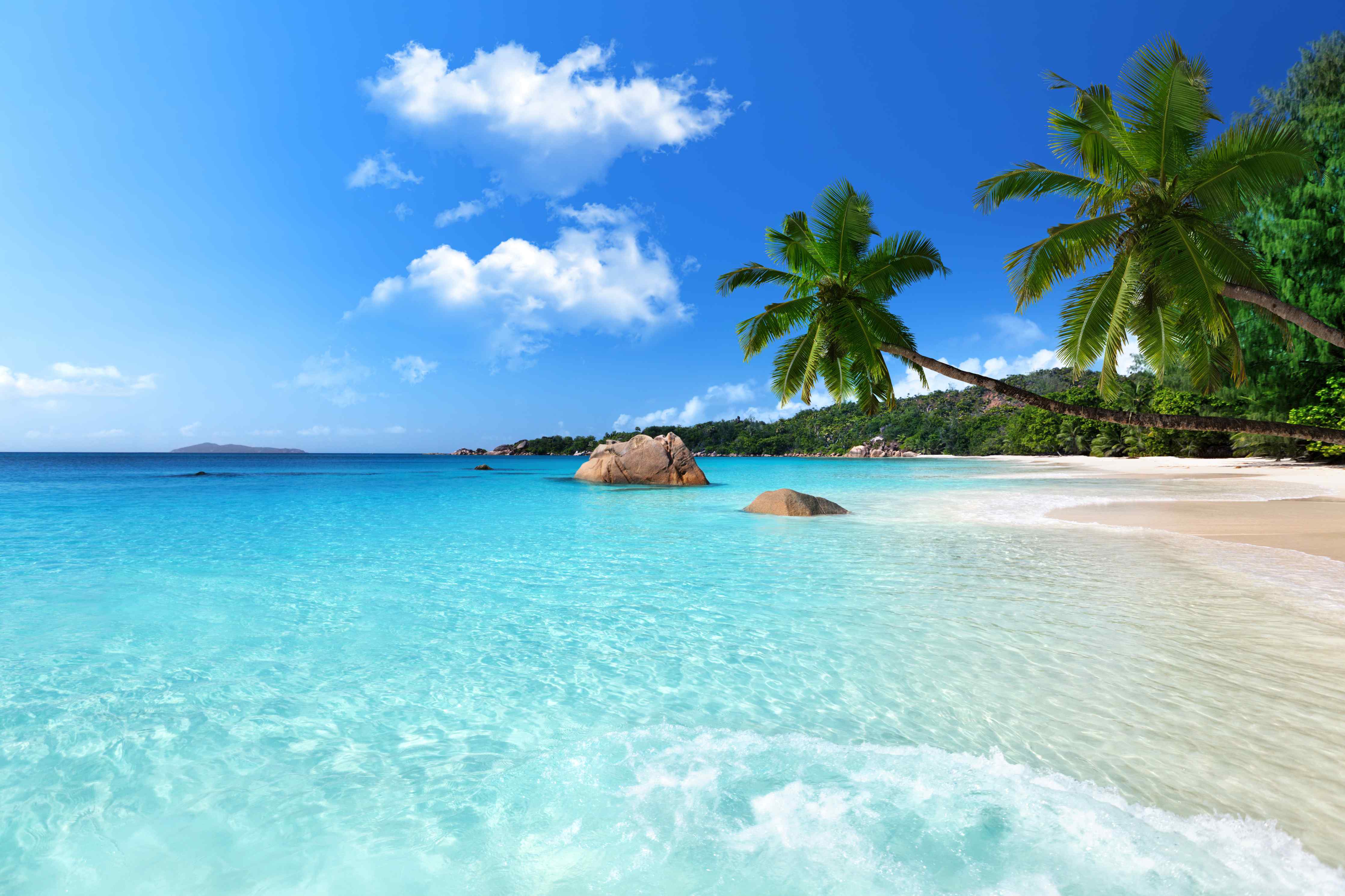 Wandverkleidung Wohnzimmer-Grauer Traumstrand mit weißen Palmen