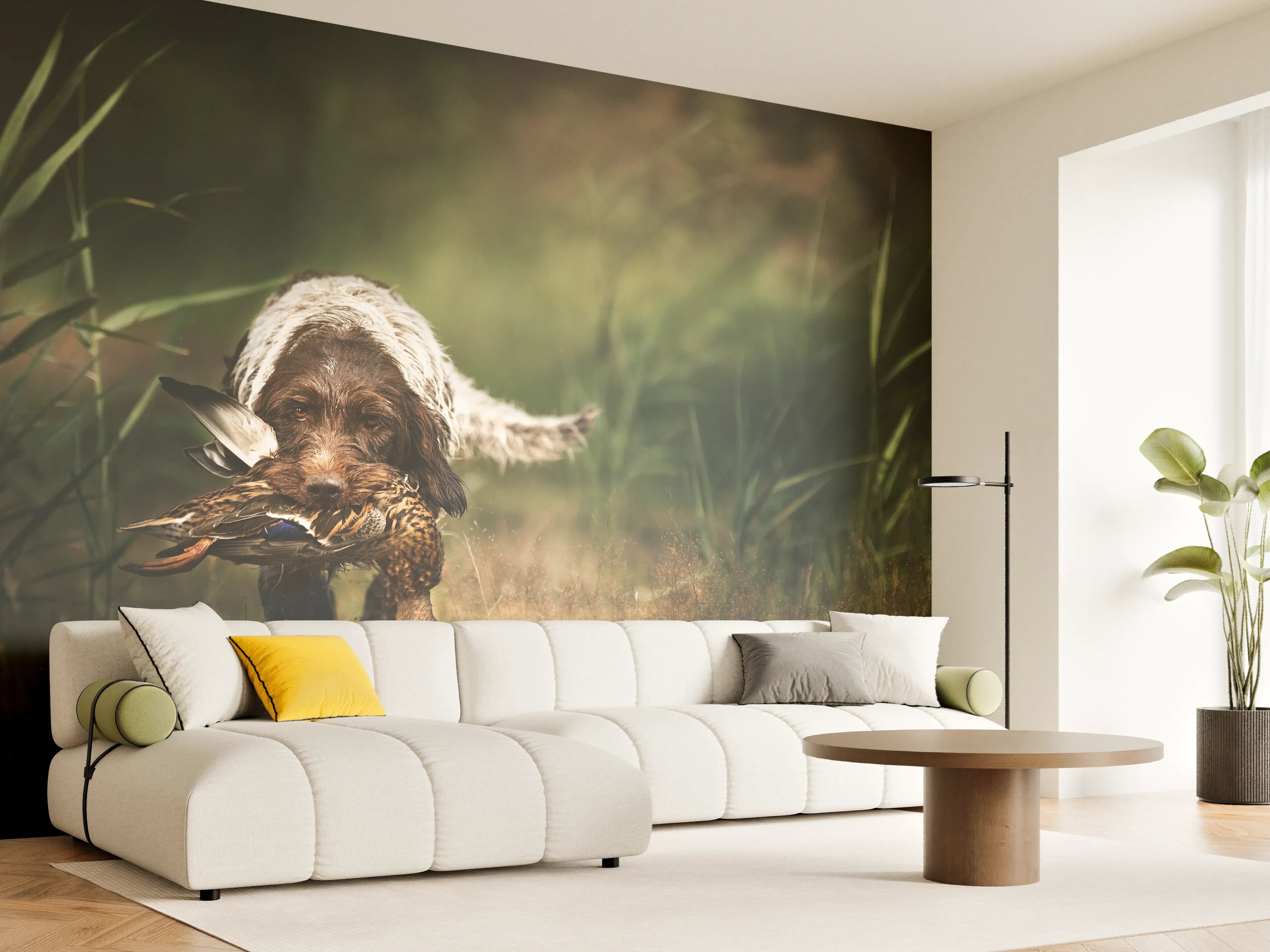 Wandverkleidung Wohnzimmer - Griffon Korthals beim Apportieren einer Ente