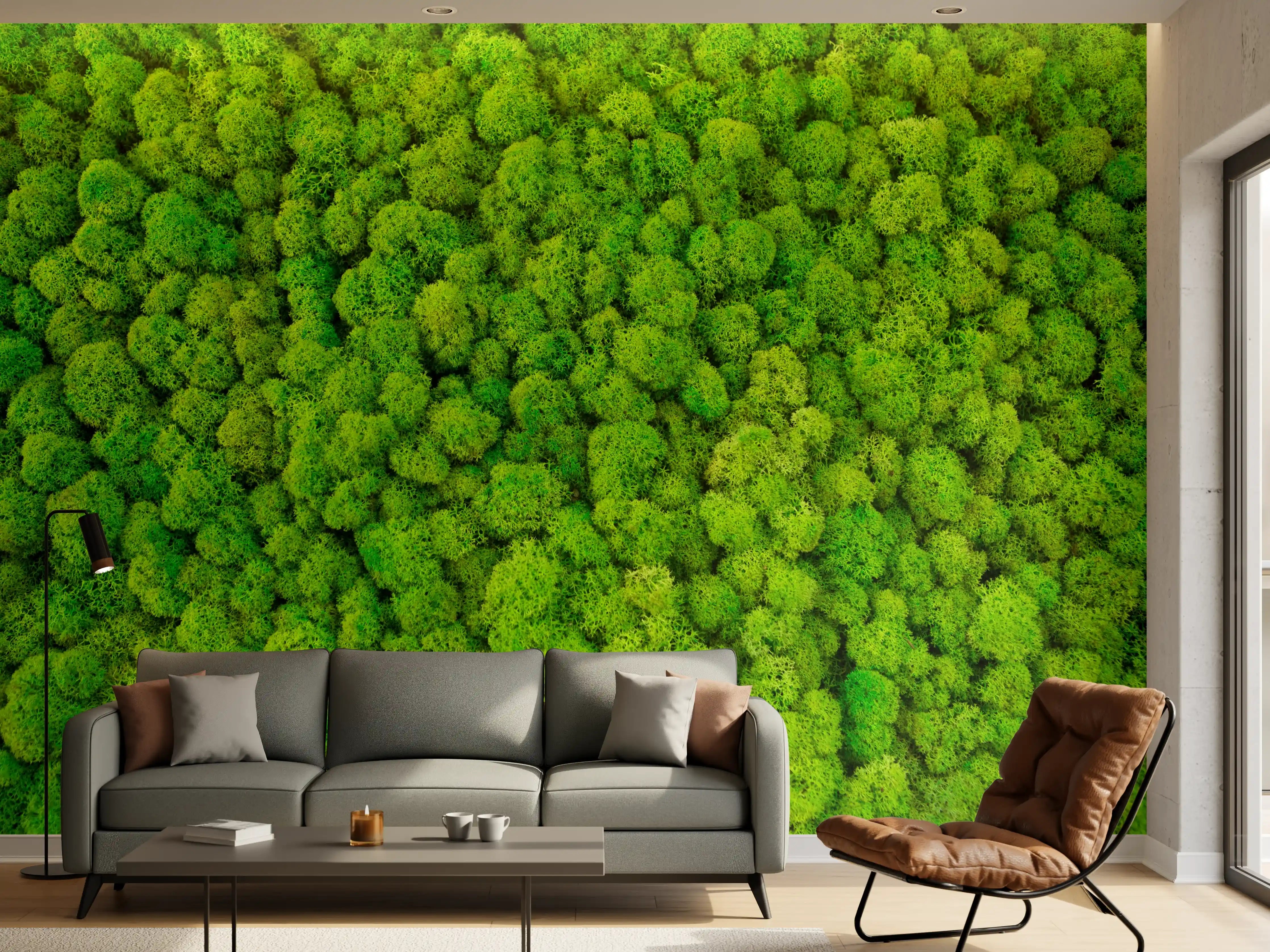 Wandverkleidung Wohnzimmer - Grüner Waldteppich von oben