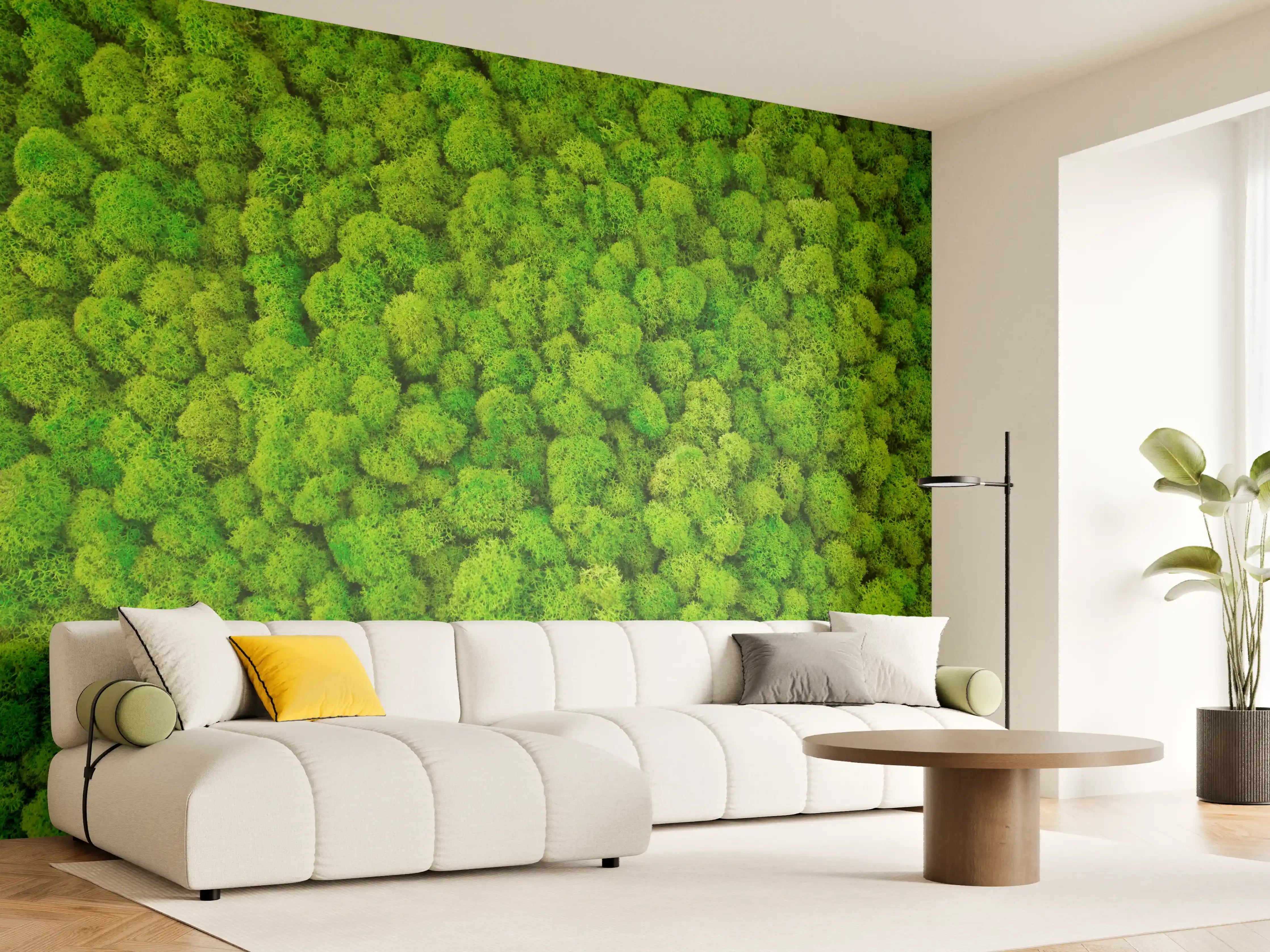 Wandverkleidung Wohnzimmer - Grüner Waldteppich von oben