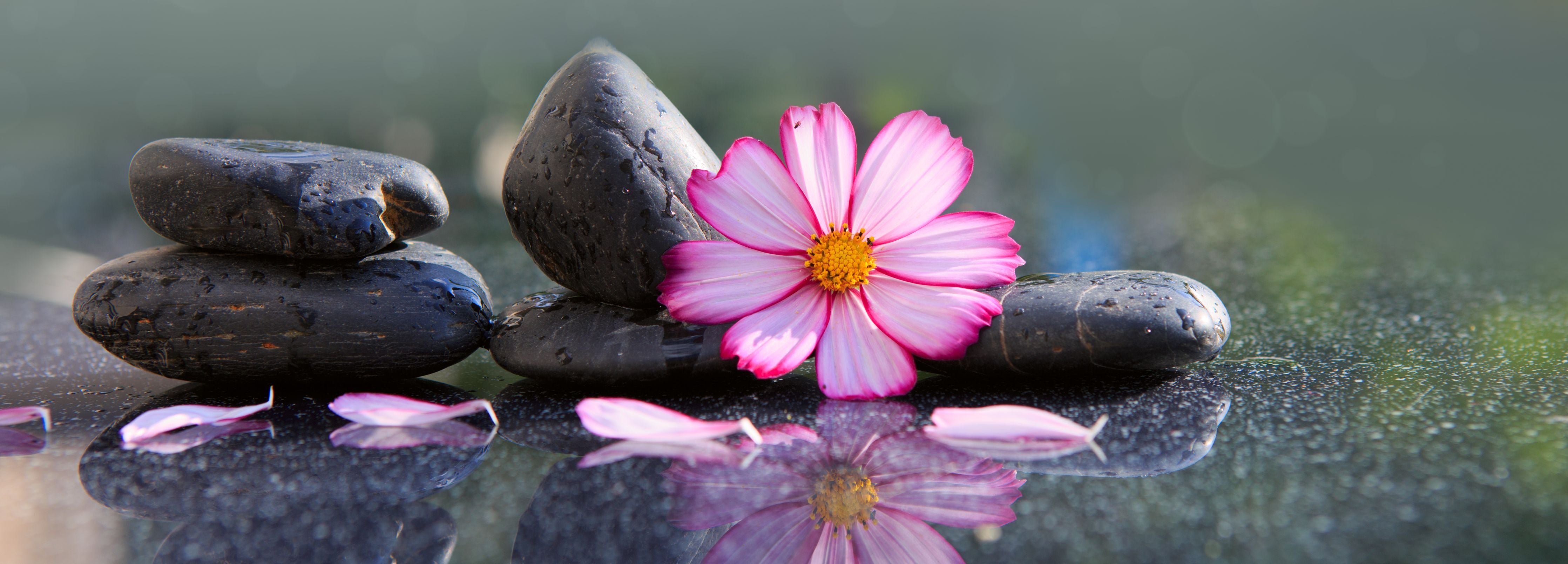 Wandverkleidung Wohnzimmer-Harmonie aus Steinen und Blume