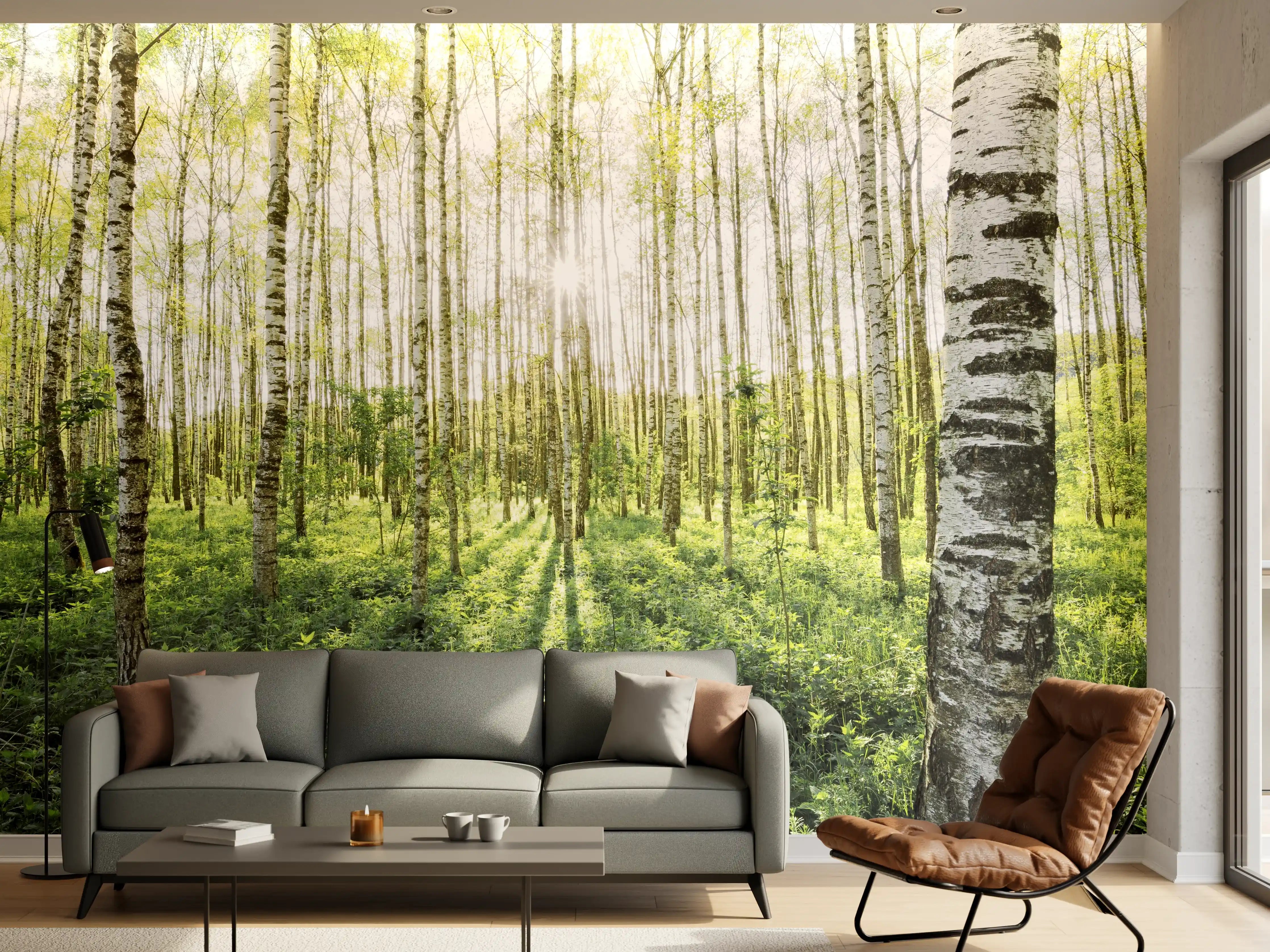 Wandverkleidung Wohnzimmer - Heller Birkenwald im Frühling