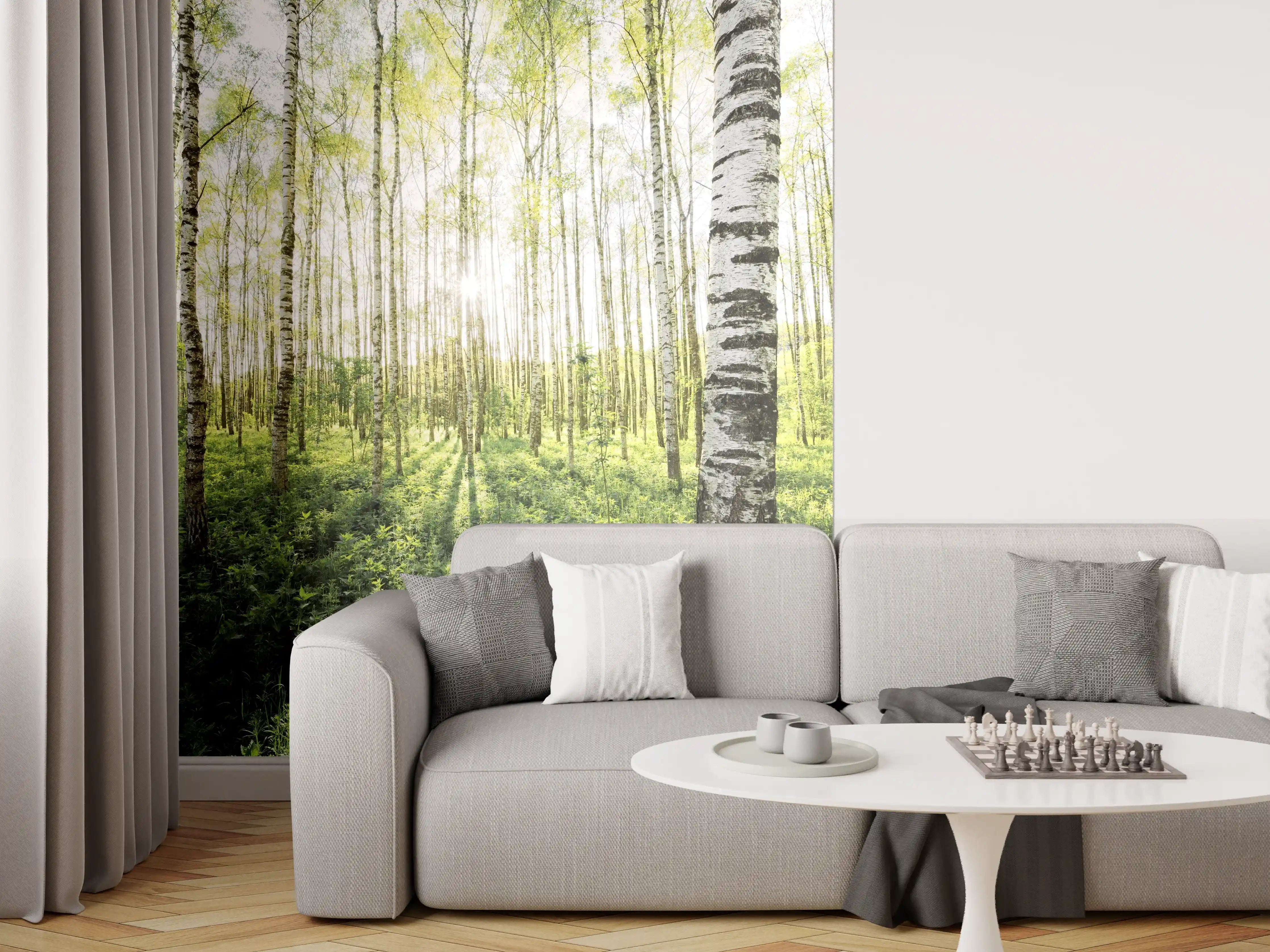 Wandverkleidung Wohnzimmer - Heller Birkenwald im Frühling