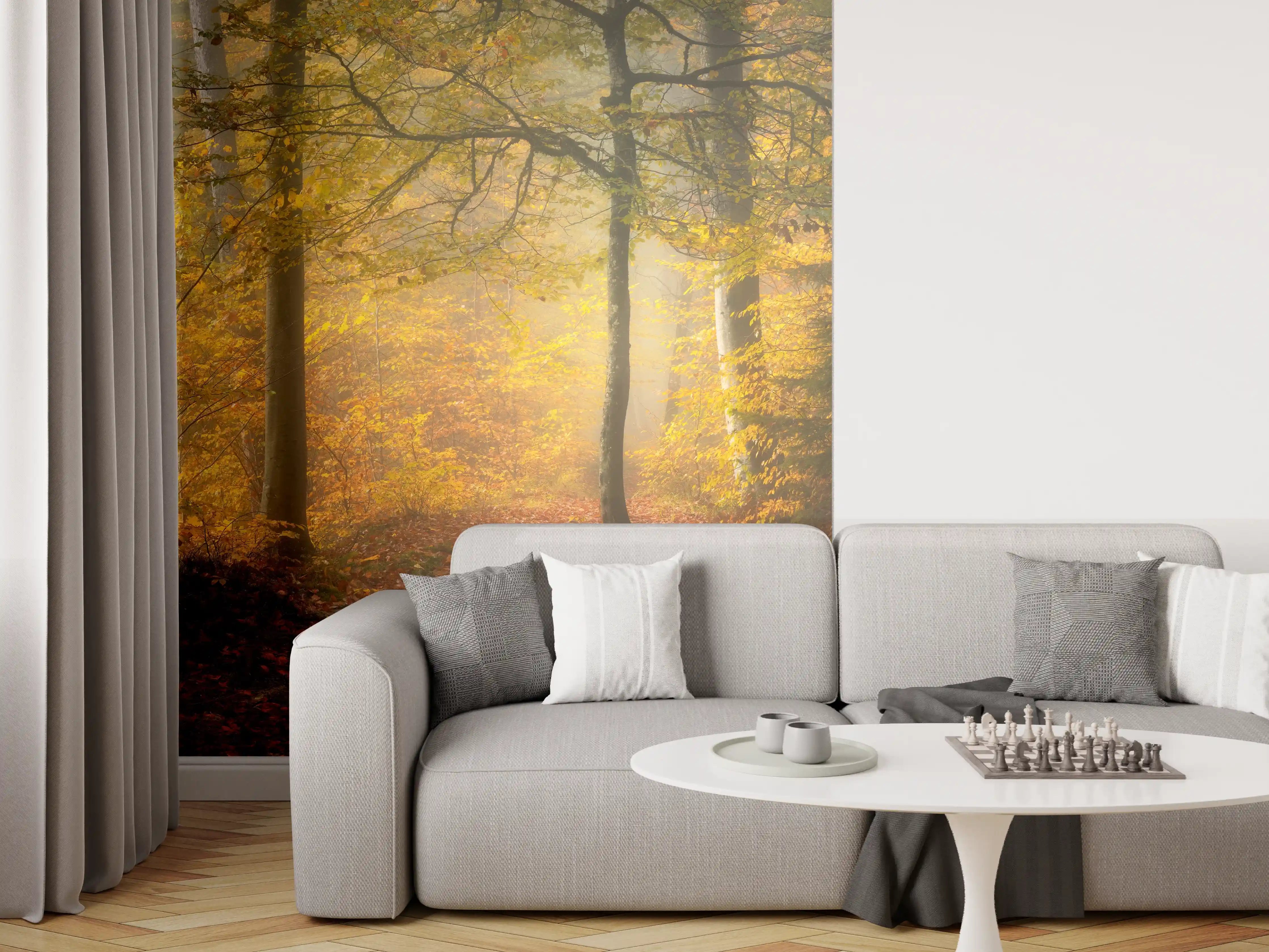 Wandverkleidung Wohnzimmer - Herbstlicher Waldspaziergang in sanftem Licht