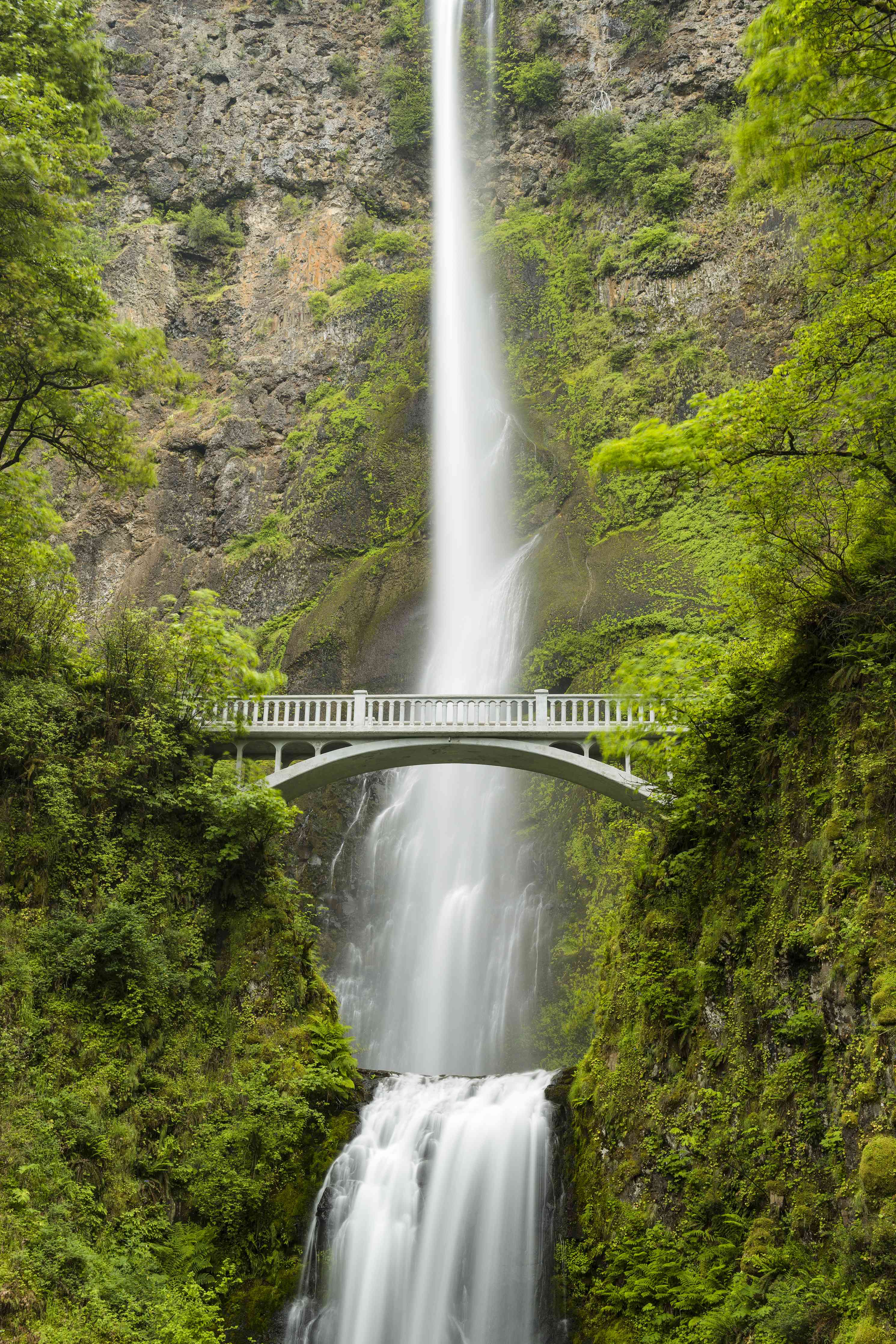 Wandverkleidung Wohnzimmer-Hochwertiges Wasserfall-Bild mit Brücke in grüner Natur