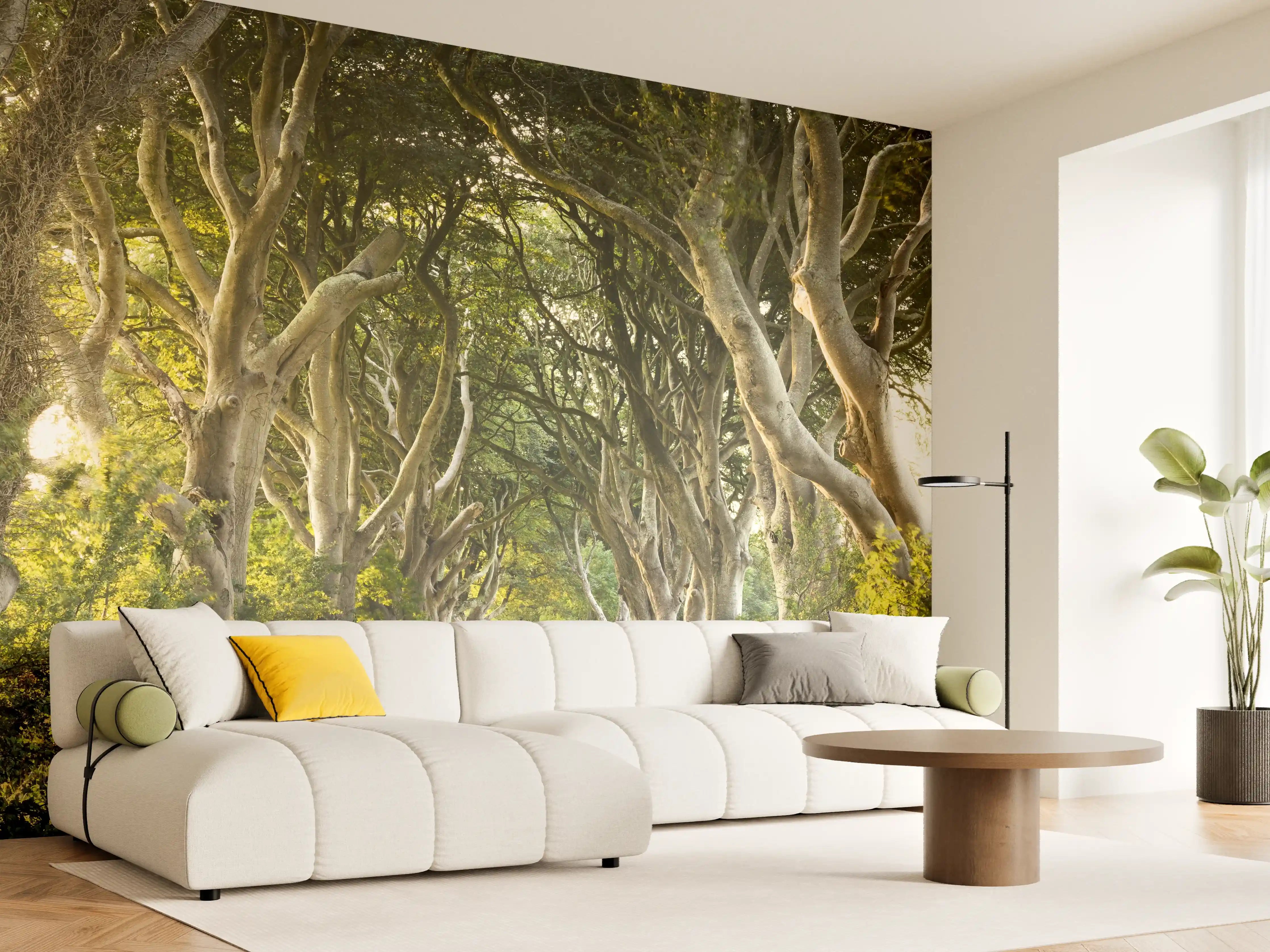 Wandverkleidung Wohnzimmer - Idyllischer Baum-Waldweg bei Sonnenuntergang