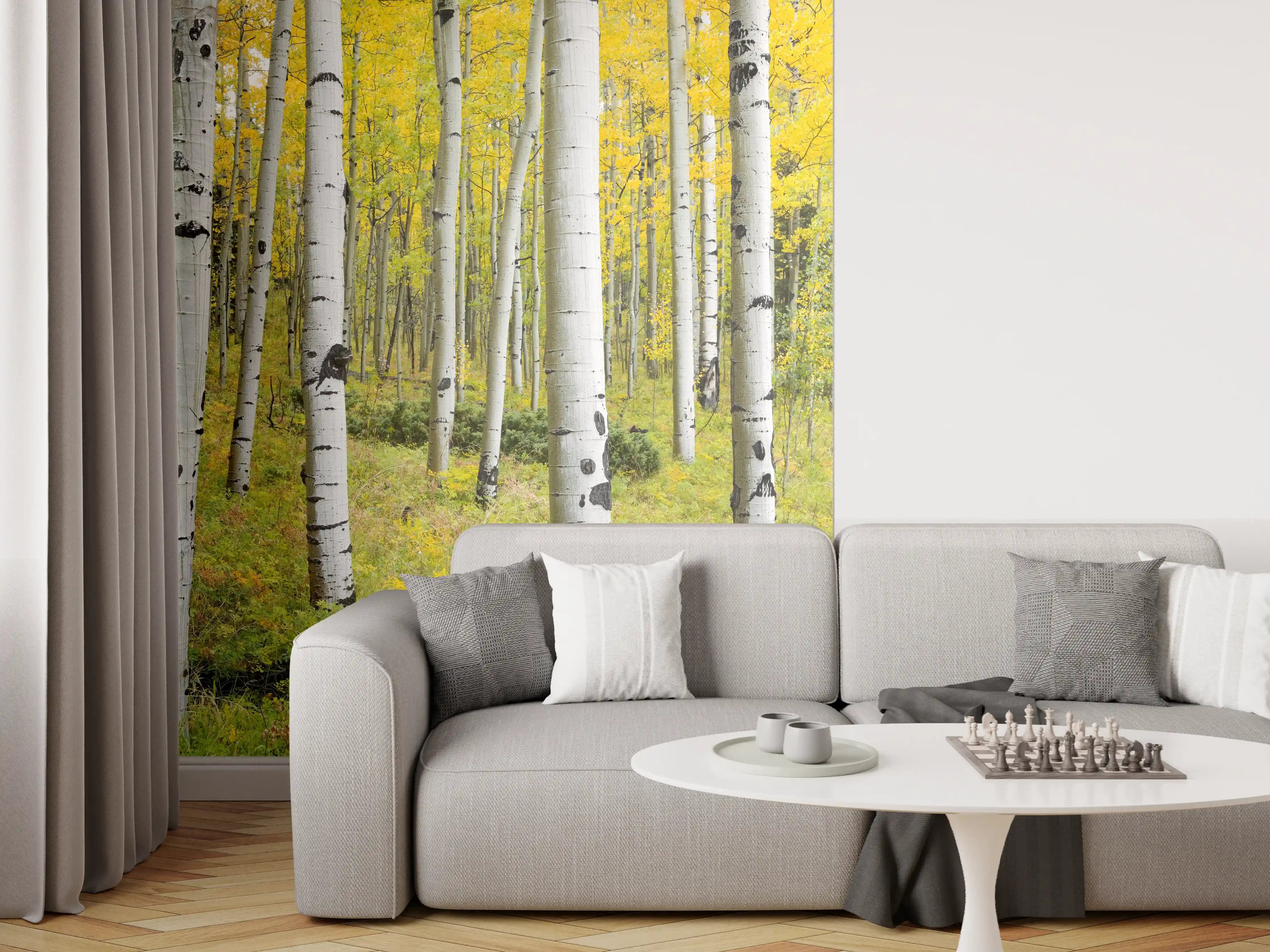 Wandverkleidung Wohnzimmer - Idyllischer Birkenwald im Herbst