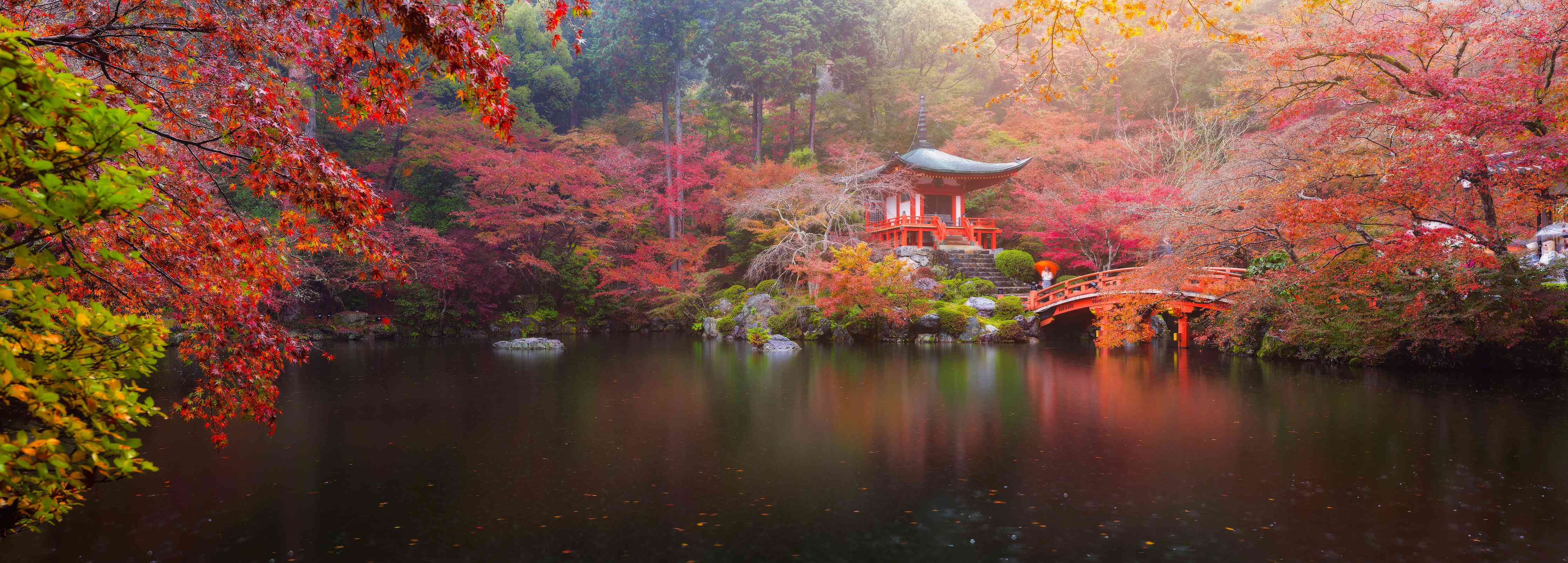 Wandverkleidung Wohnzimmer-Idyllischer Japangarten im Herbst