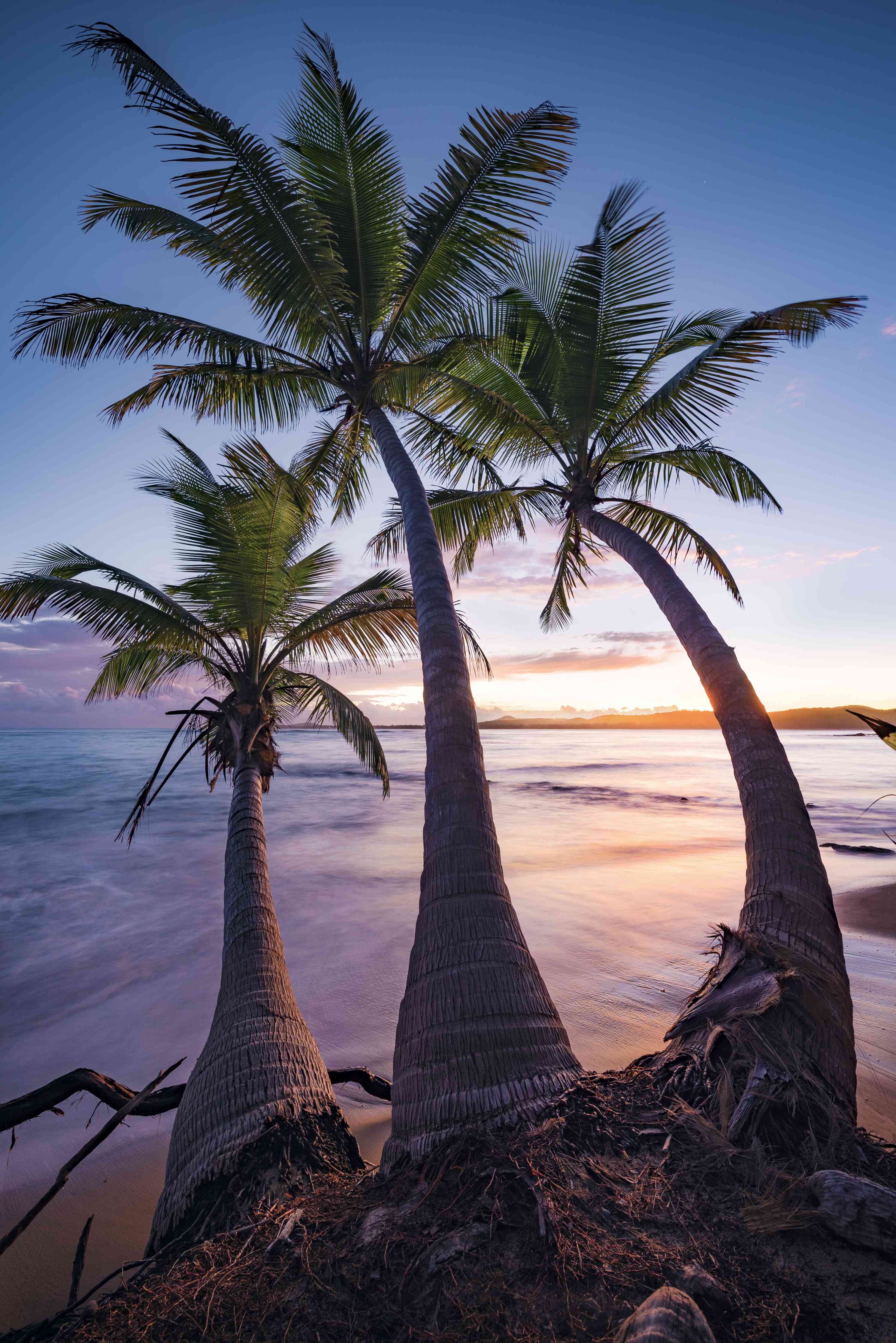 Wandverkleidung Wohnzimmer-Idyllischer Strand mit Palmen im Sonnenuntergang