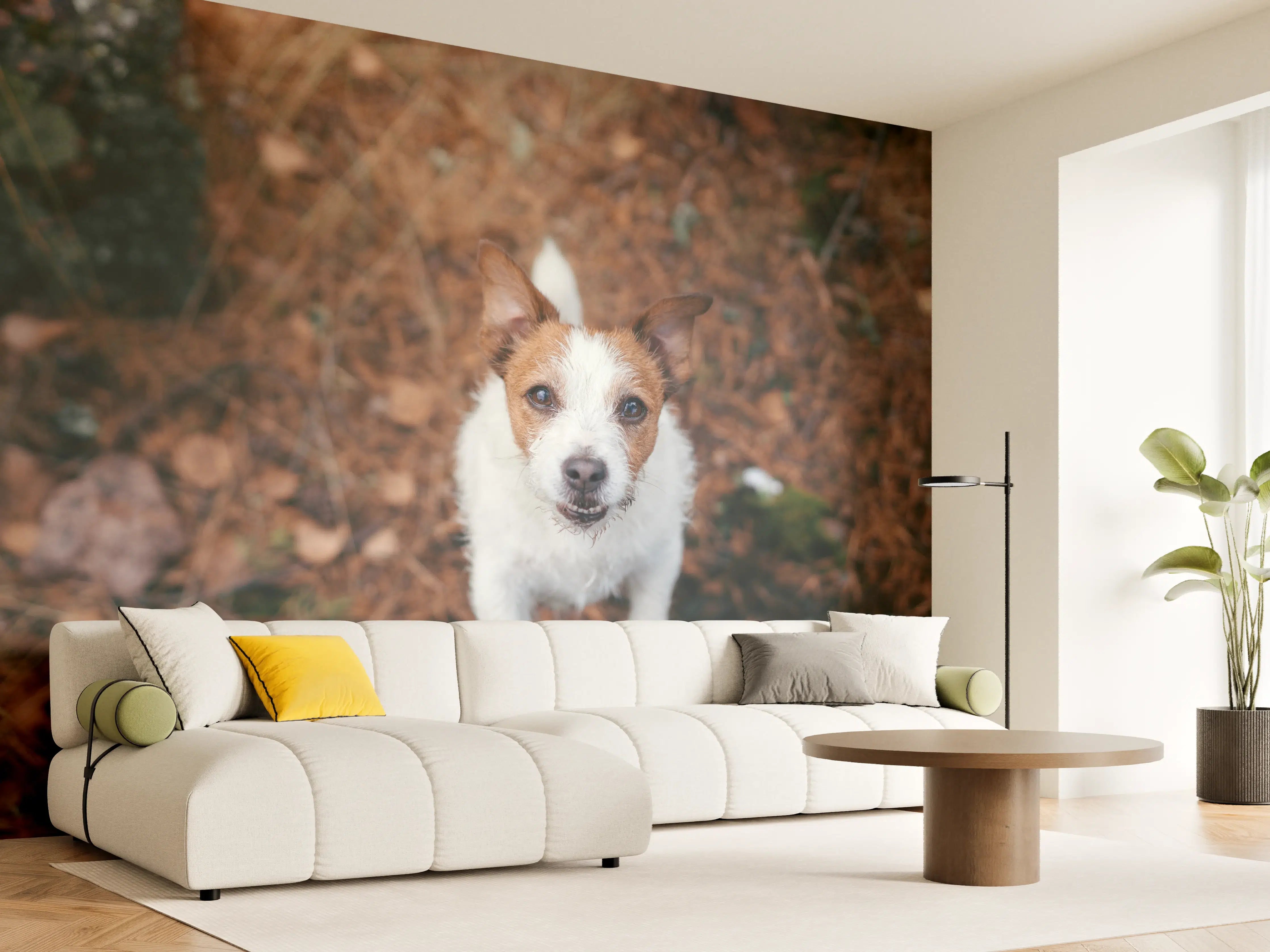 Wandverkleidung Wohnzimmer - Jack Russell im herbstlichen Park