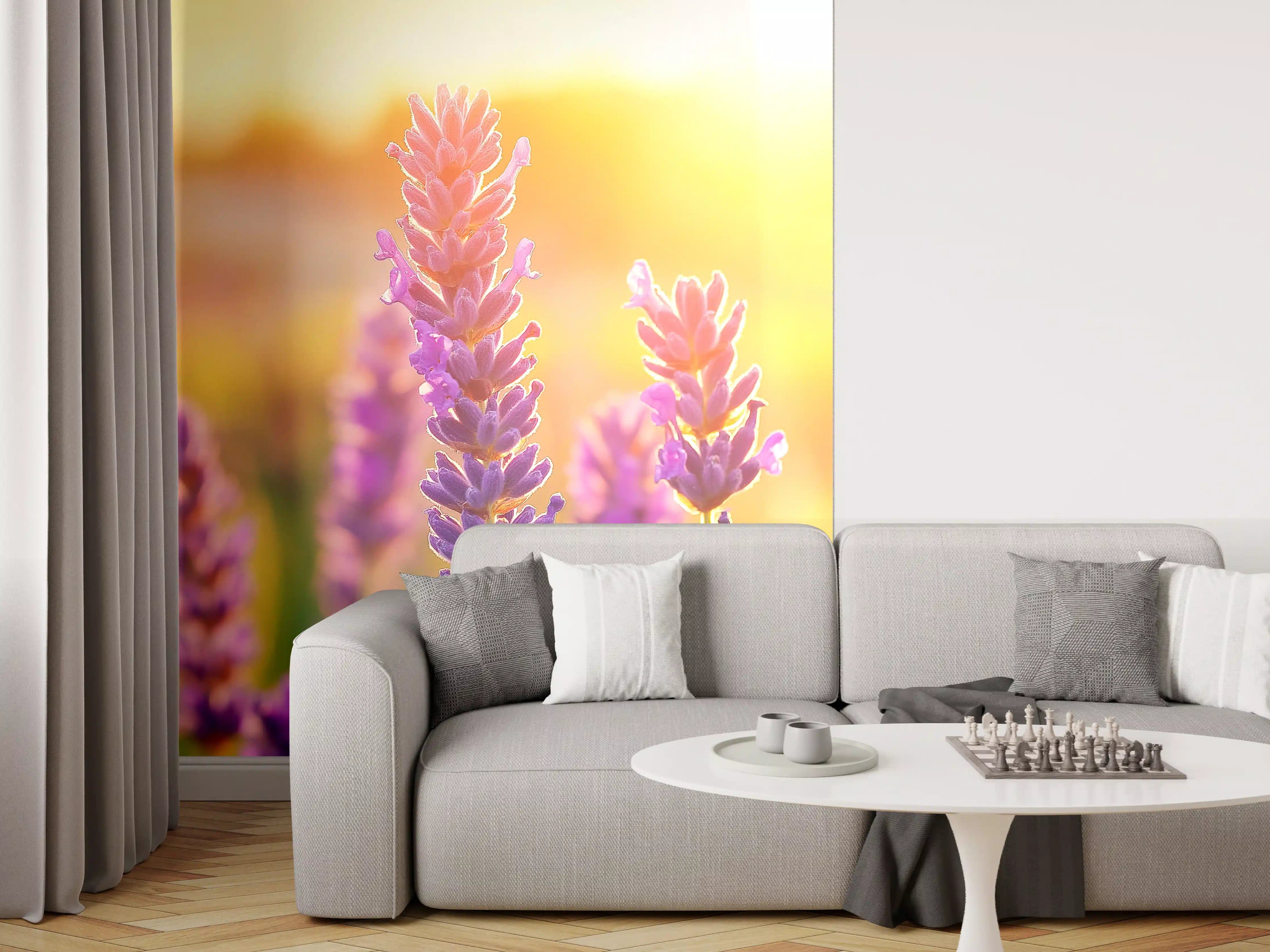 Wandverkleidung Wohnzimmer - Lavendel in goldenem Abendlicht