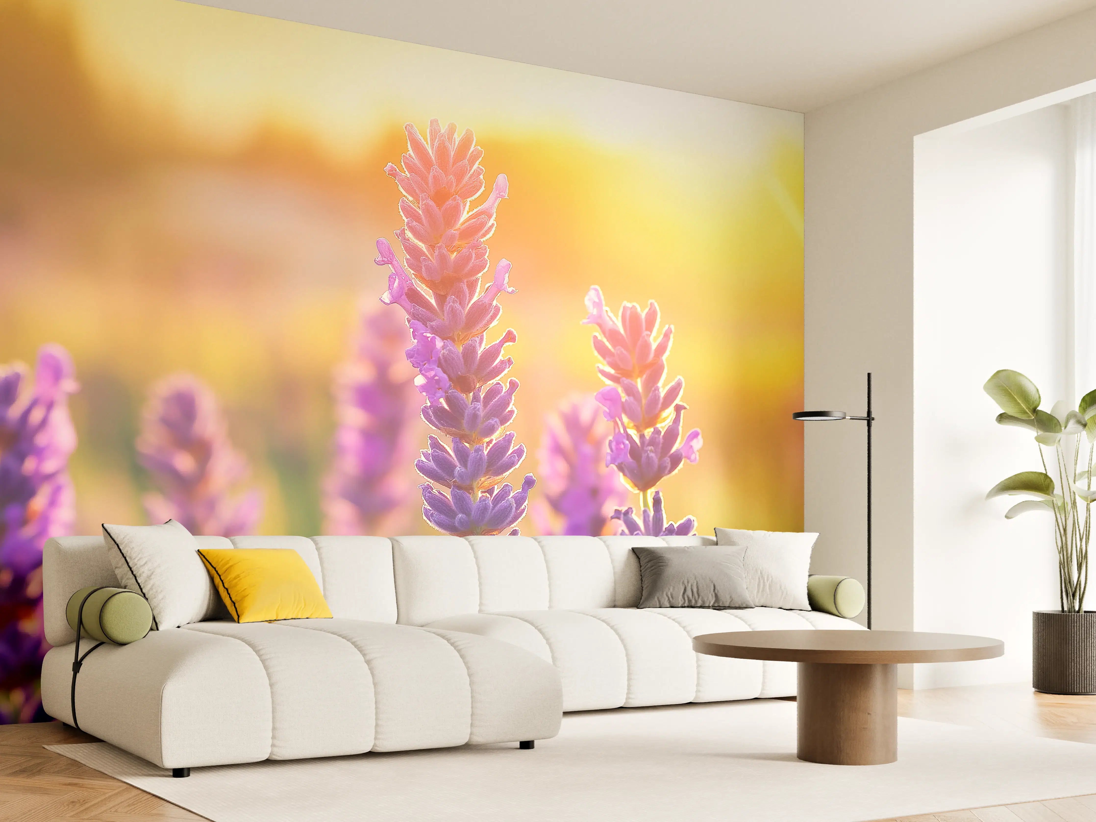 Wandverkleidung Wohnzimmer - Lavendel in goldenem Abendlicht