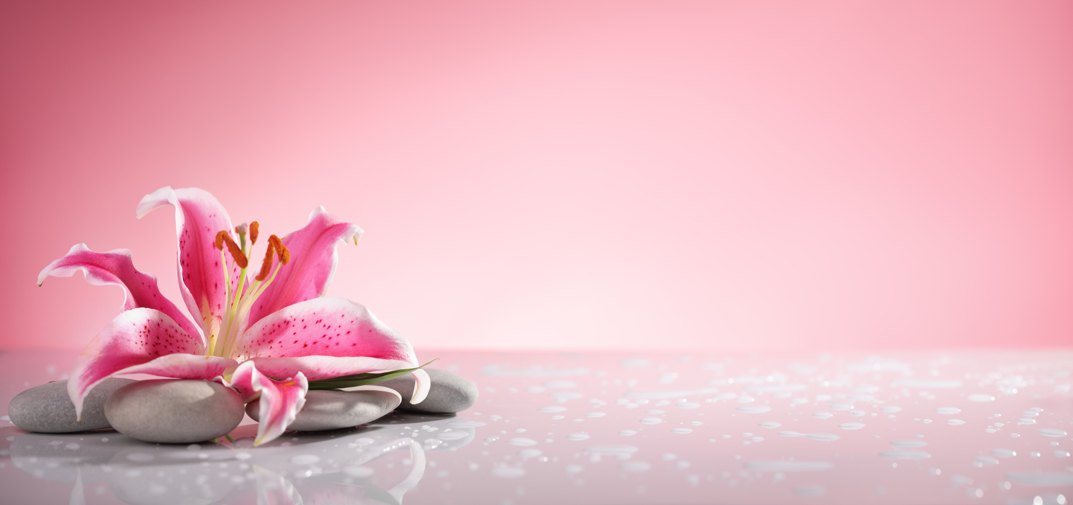 Wandverkleidung Wohnzimmer-Lilie und Massagesteine