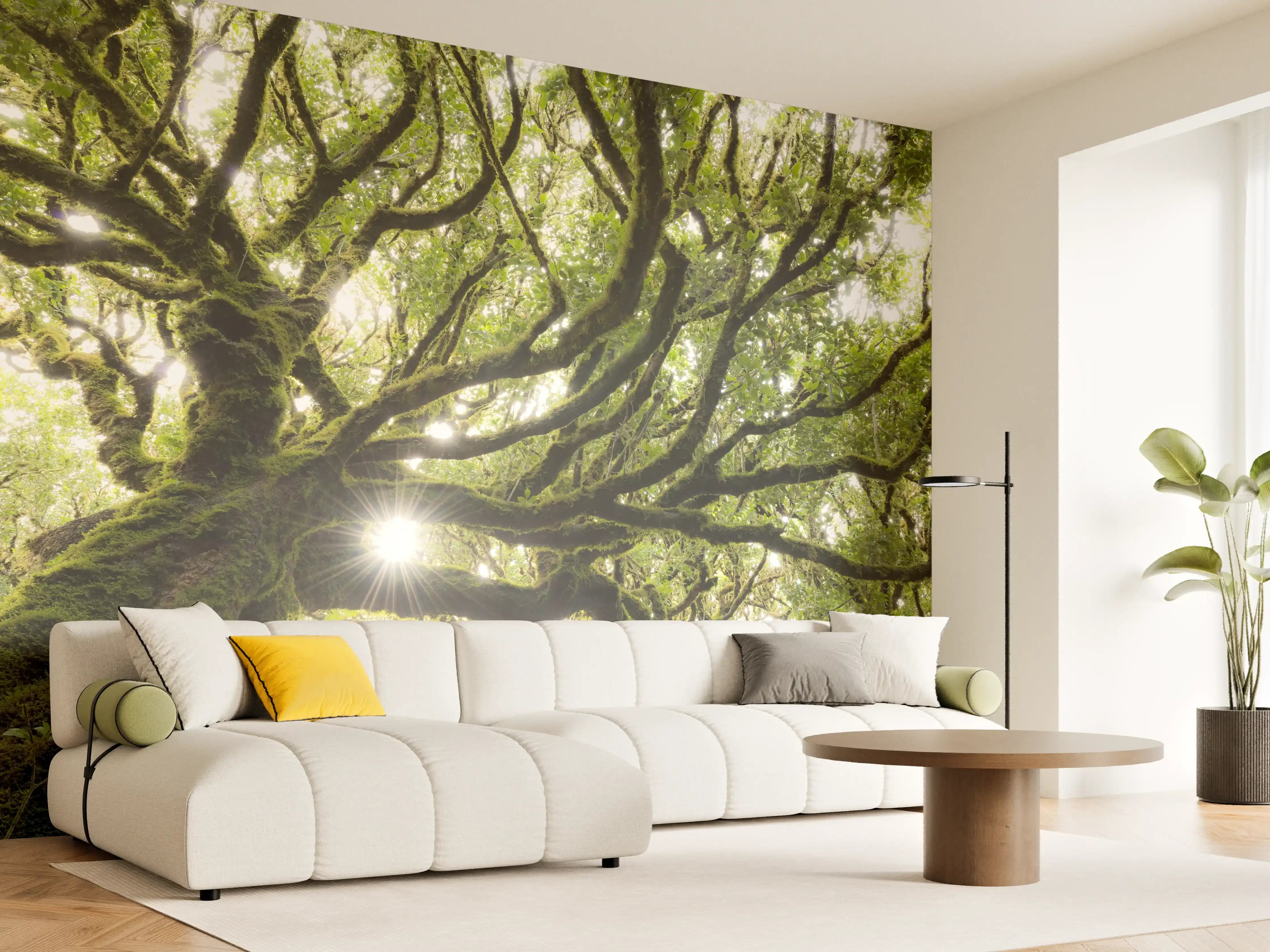 Wandverkleidung Wohnzimmer - Majestärer Baum mit Sonnenlicht