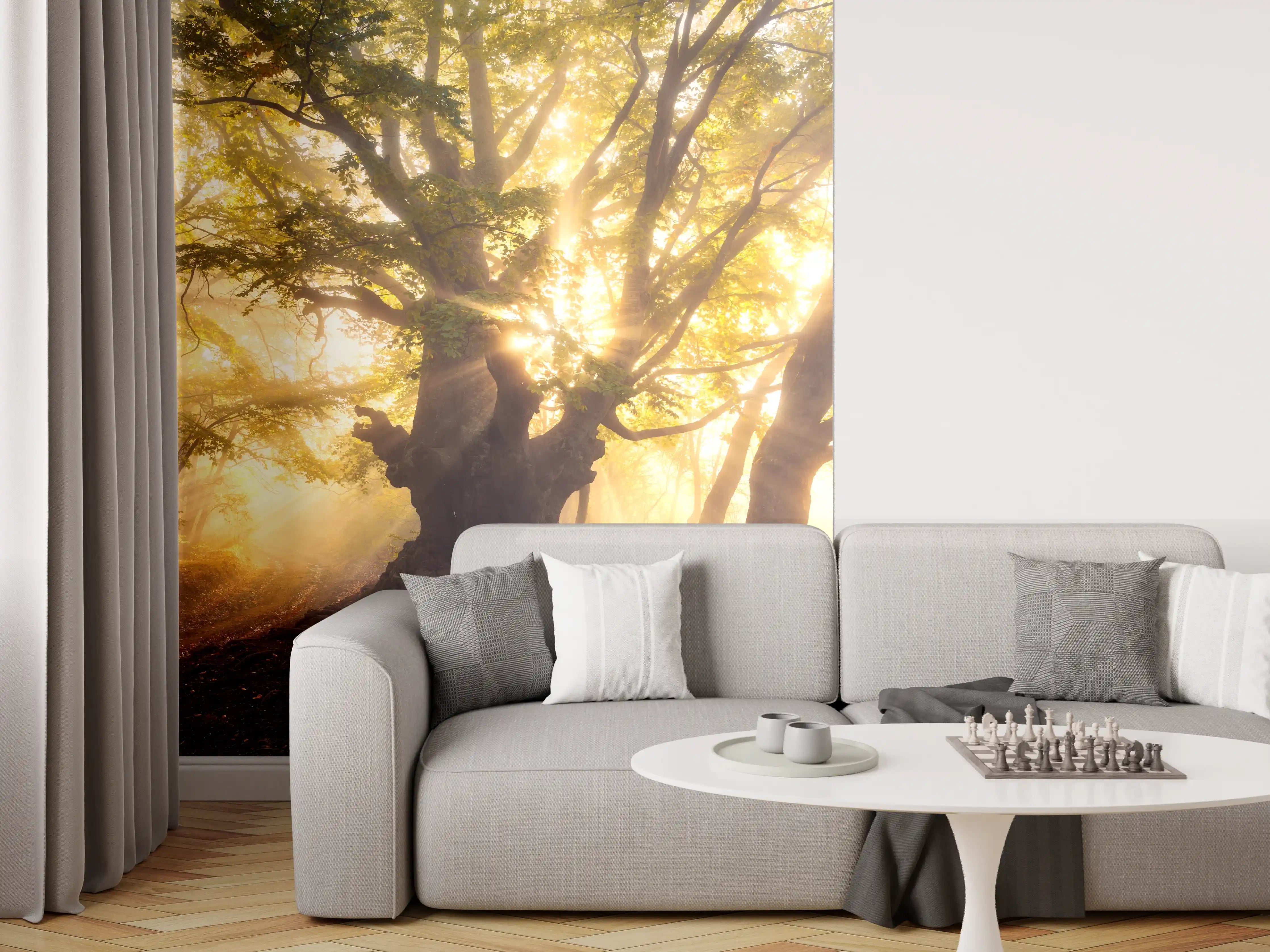 Wandverkleidung Wohnzimmer - Majestärer alter Baum im Sonnenlicht