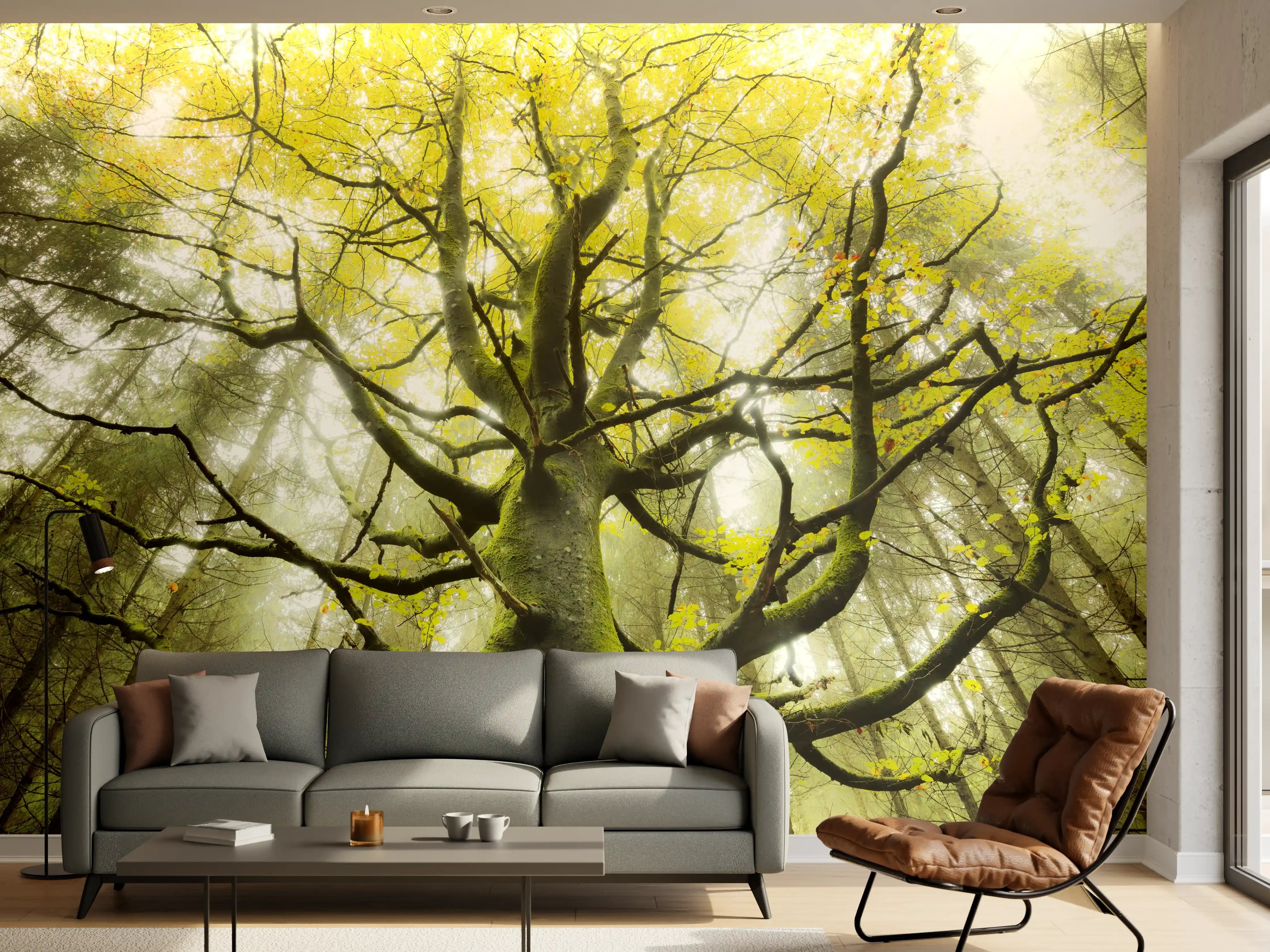 Wandverkleidung Wohnzimmer - Majestätischer Baum im Morgengrauen