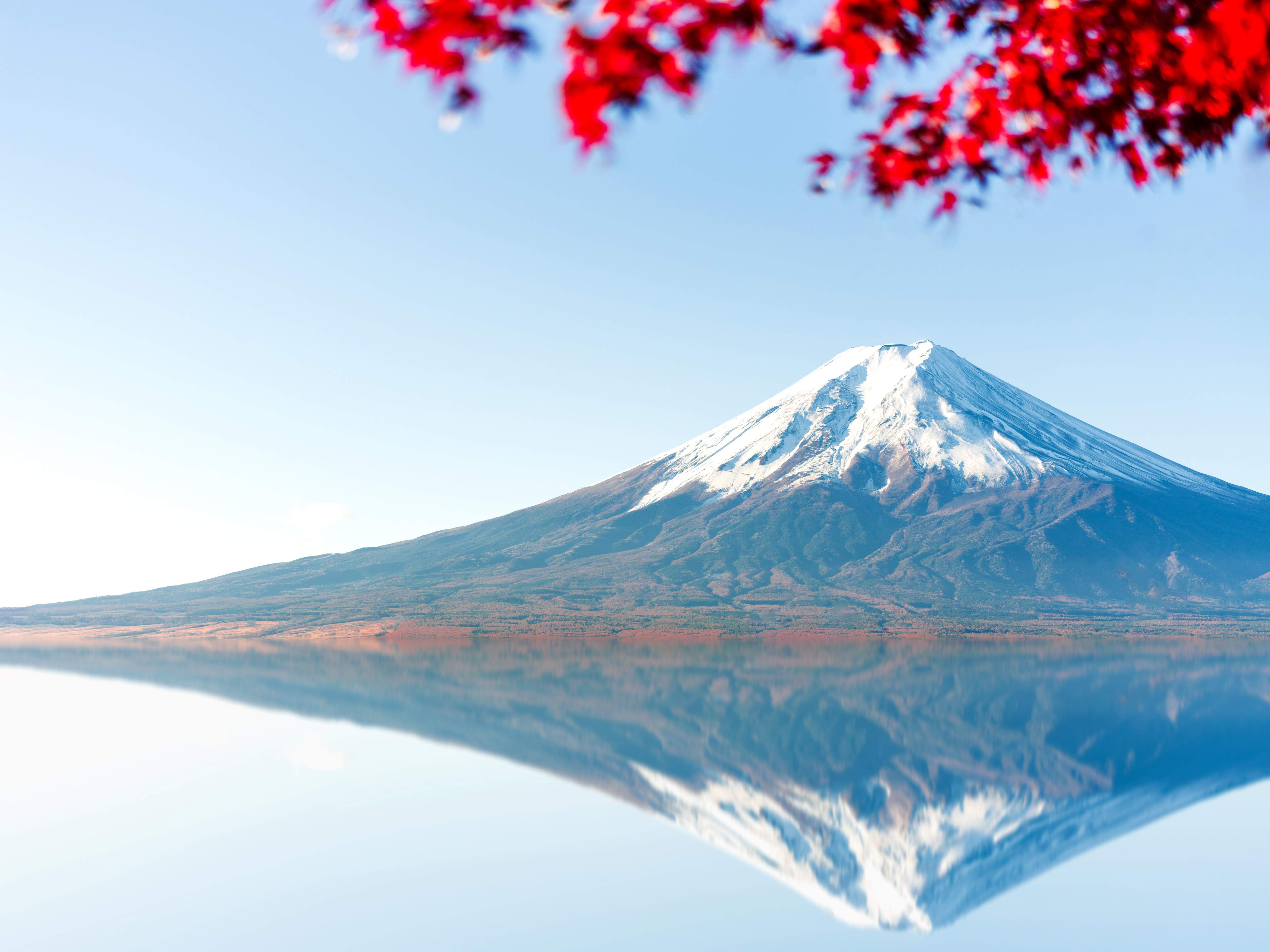 Wandverkleidung Wohnzimmer-Majestätischer Mount Fuji im Frühling