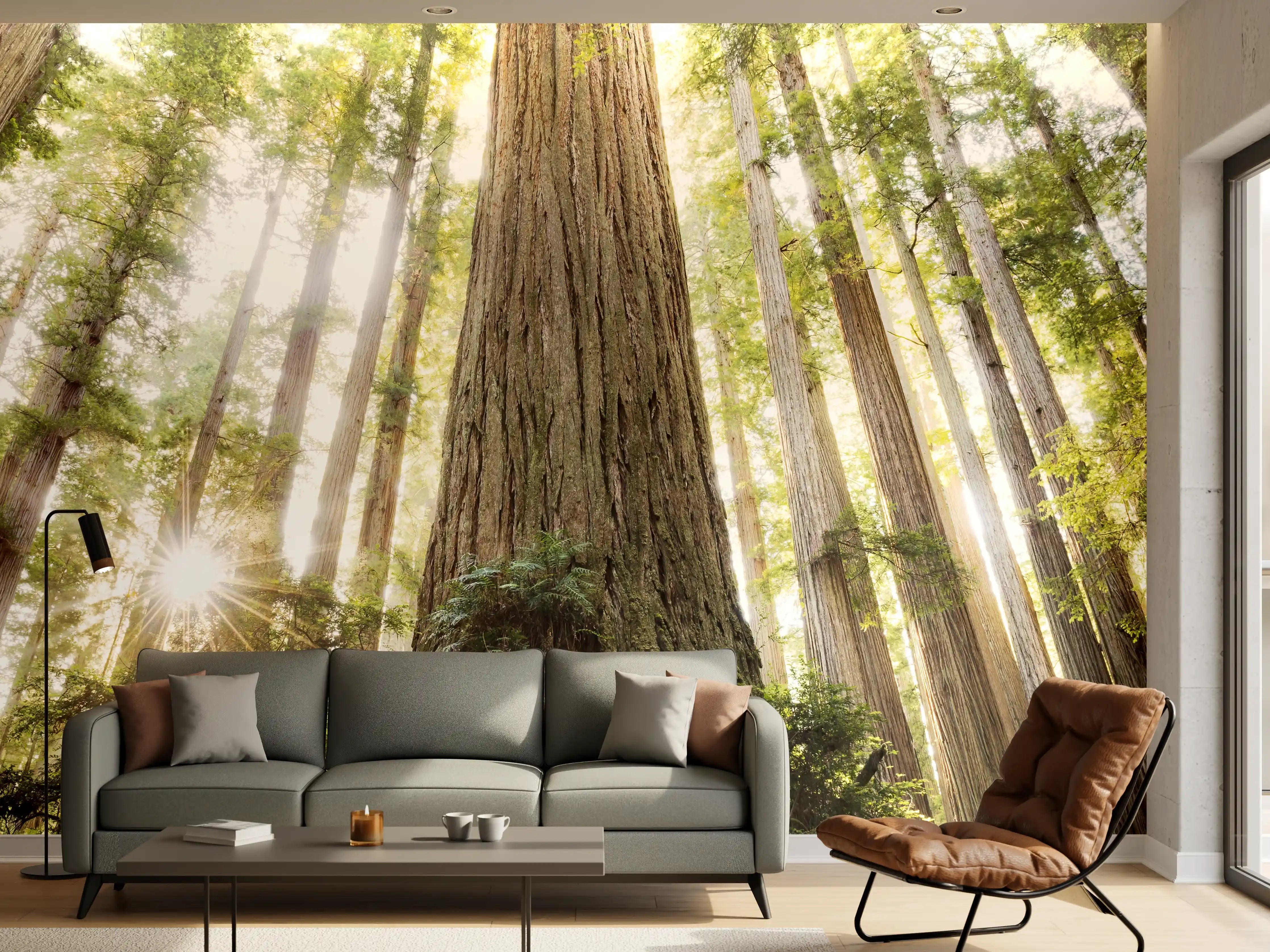 Wandverkleidung Wohnzimmer - Majestätischer Waldbaum im Sonnenlicht