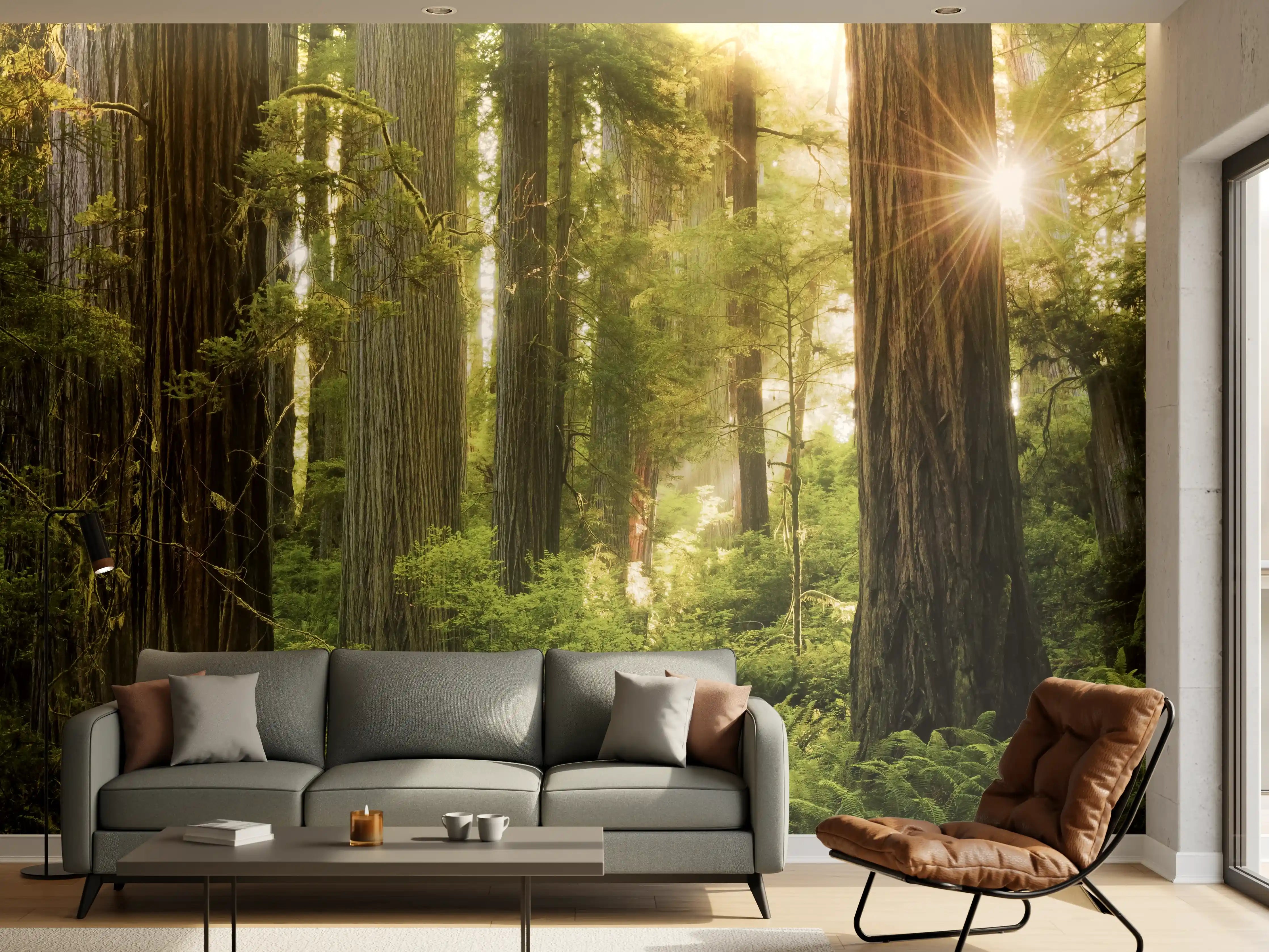 Wandverkleidung Wohnzimmer - Majestätischer Waldboden bei Sonnenlicht