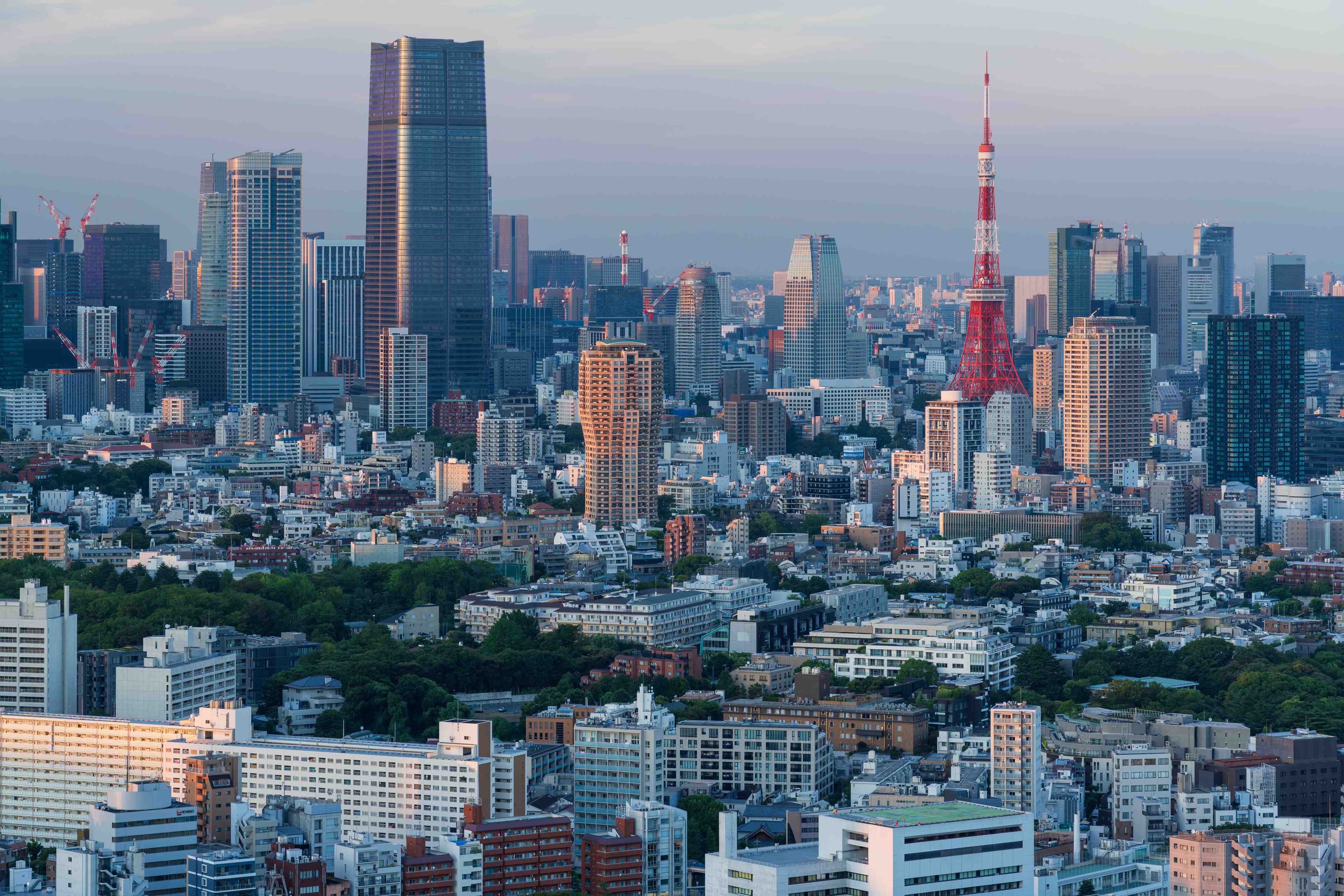 Wandverkleidung Wohnzimmer-Moderne Skyline Tokios bei Sonnenuntergang