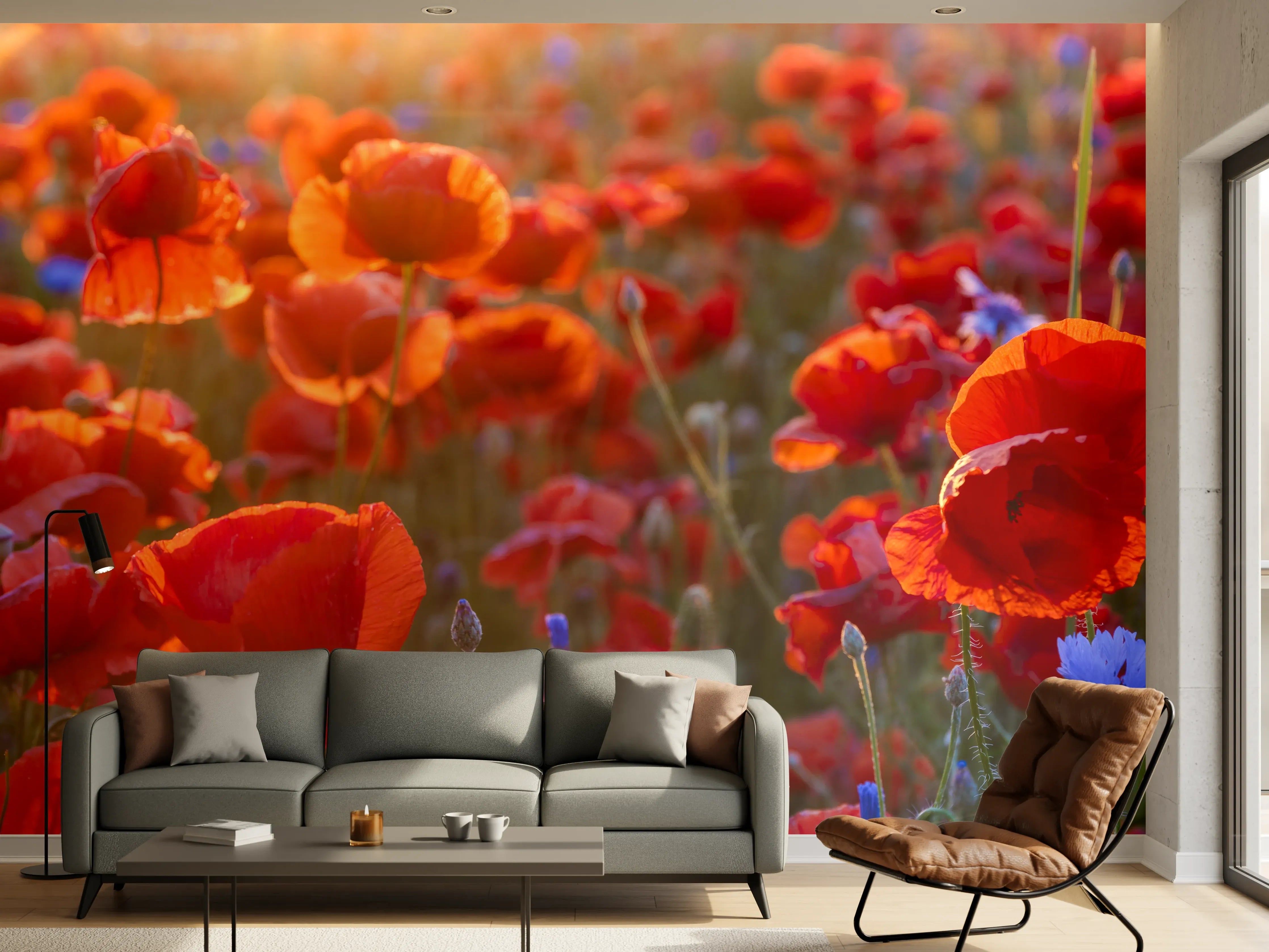 Wandverkleidung Wohnzimmer - Mohnwiese im Licht der untergehenden Sonne