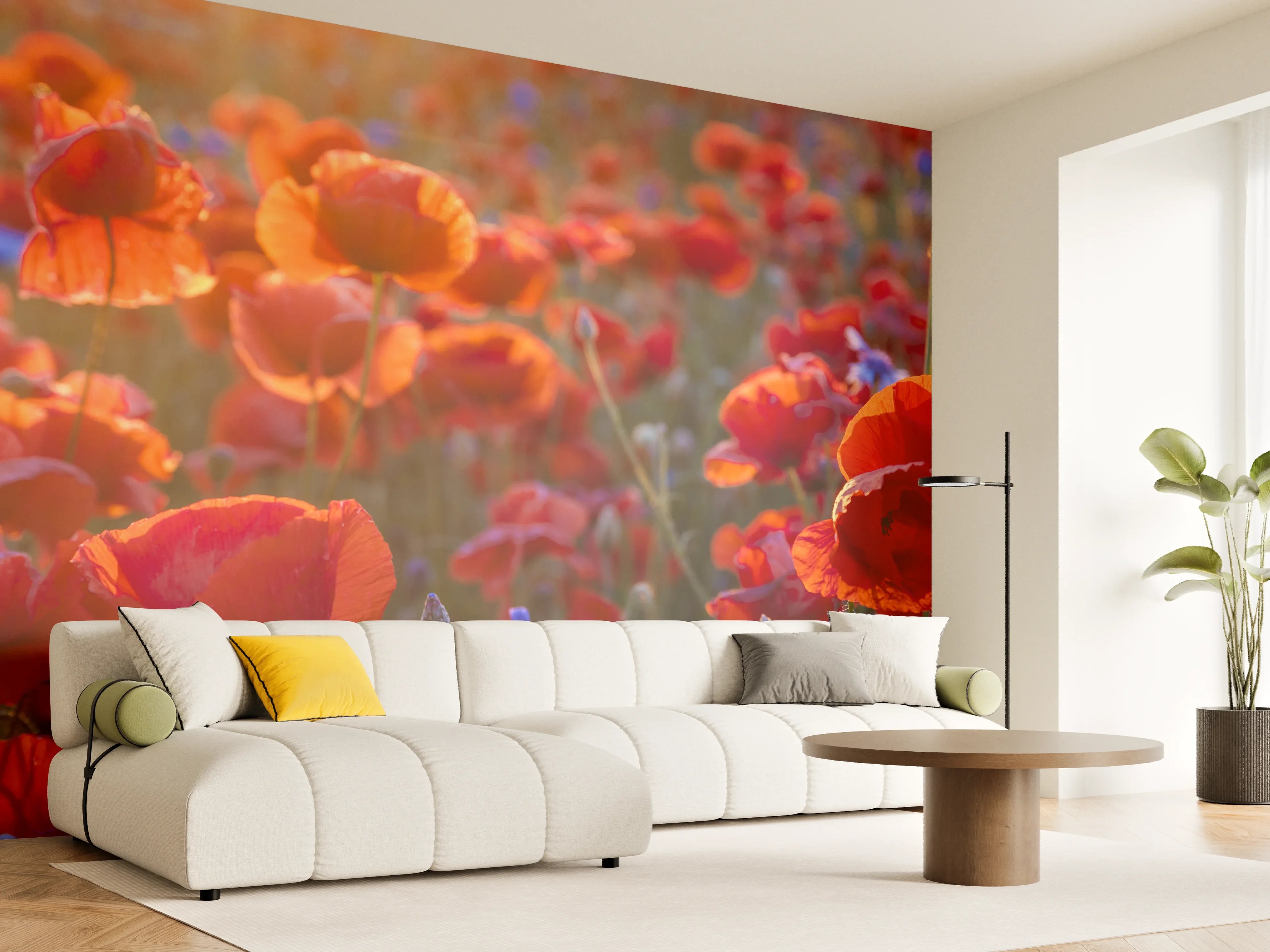 Wandverkleidung Wohnzimmer - Mohnwiese im Licht der untergehenden Sonne