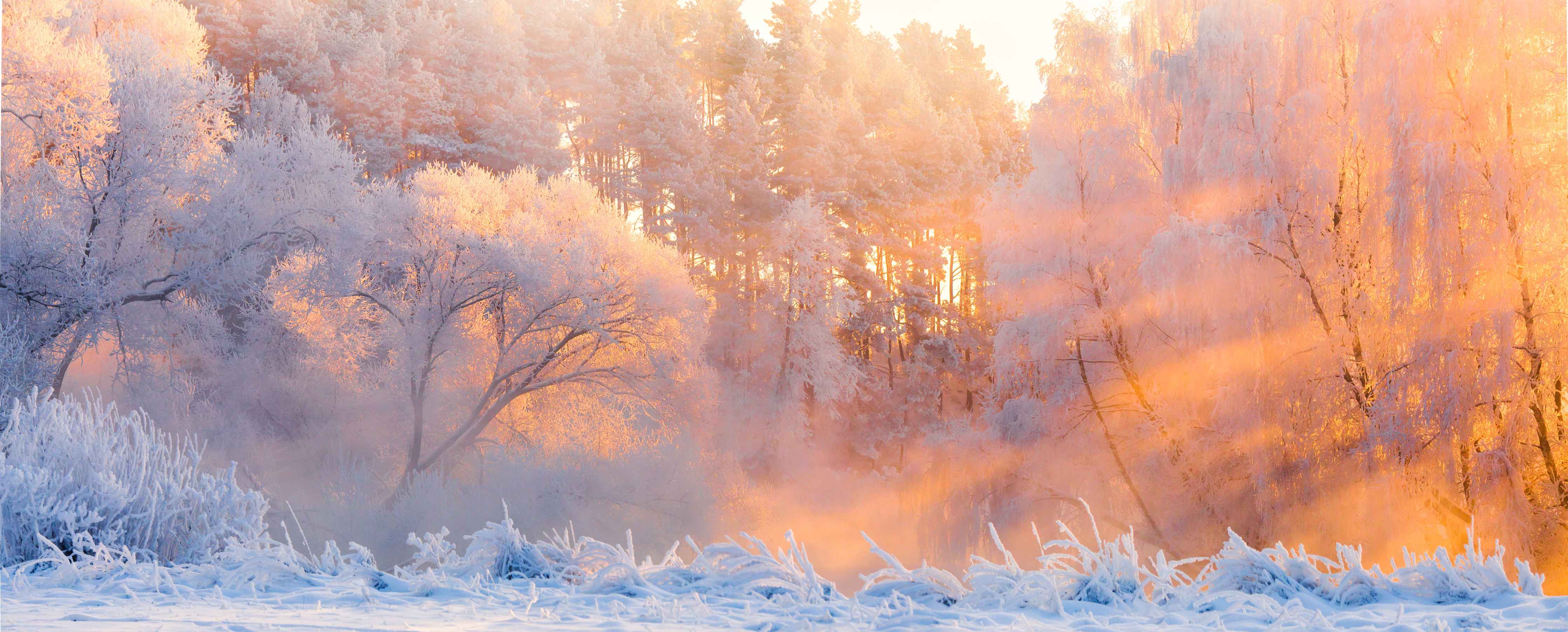 Wandverkleidung Wohnzimmer-Morgenstimmung im Winterwald
